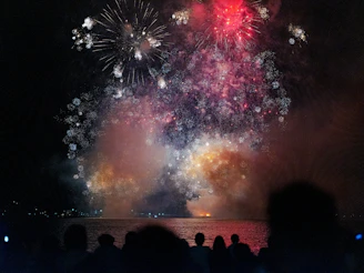 A crowd of people watching a fireworks display