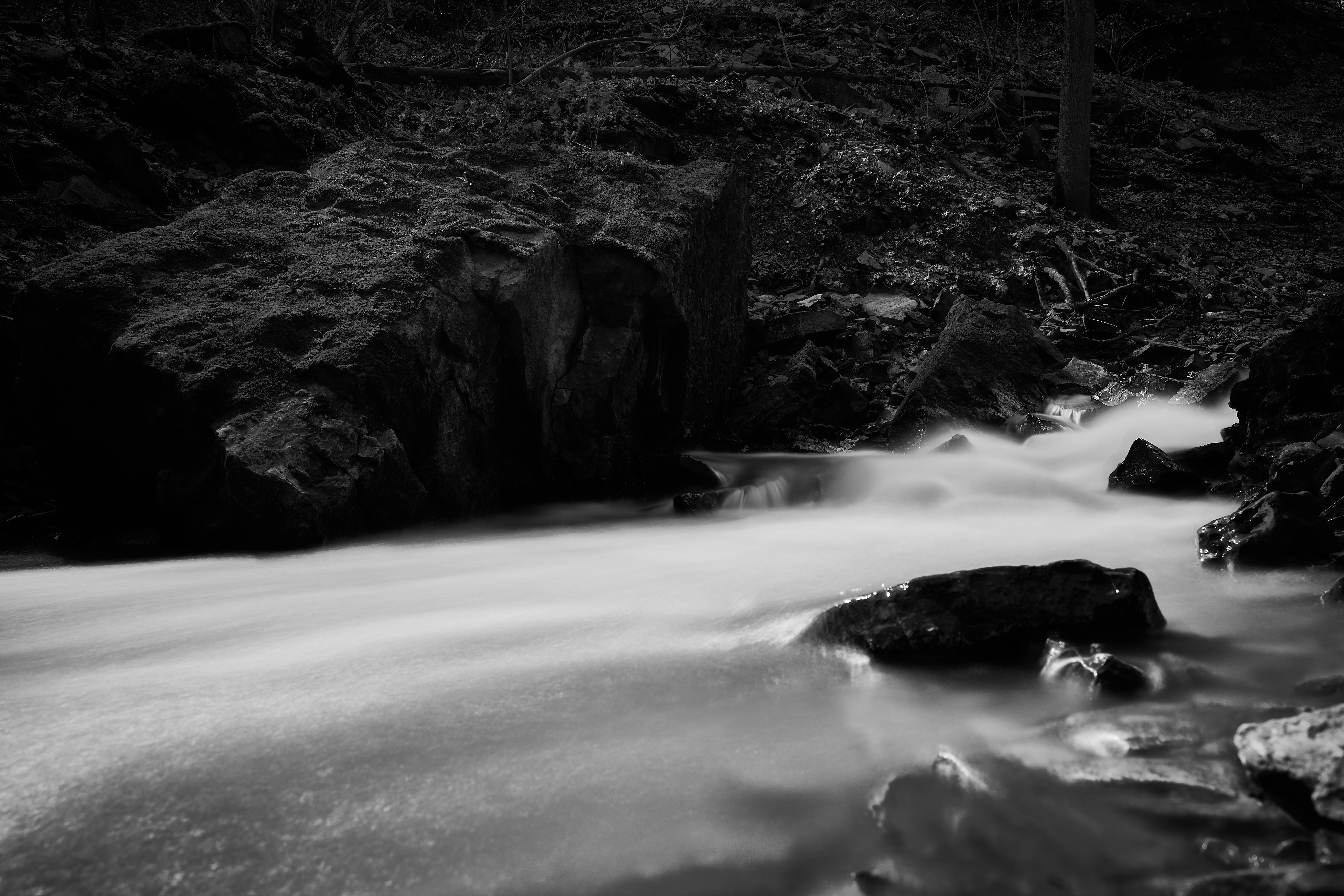 Photo by wolfgang_hasselmann