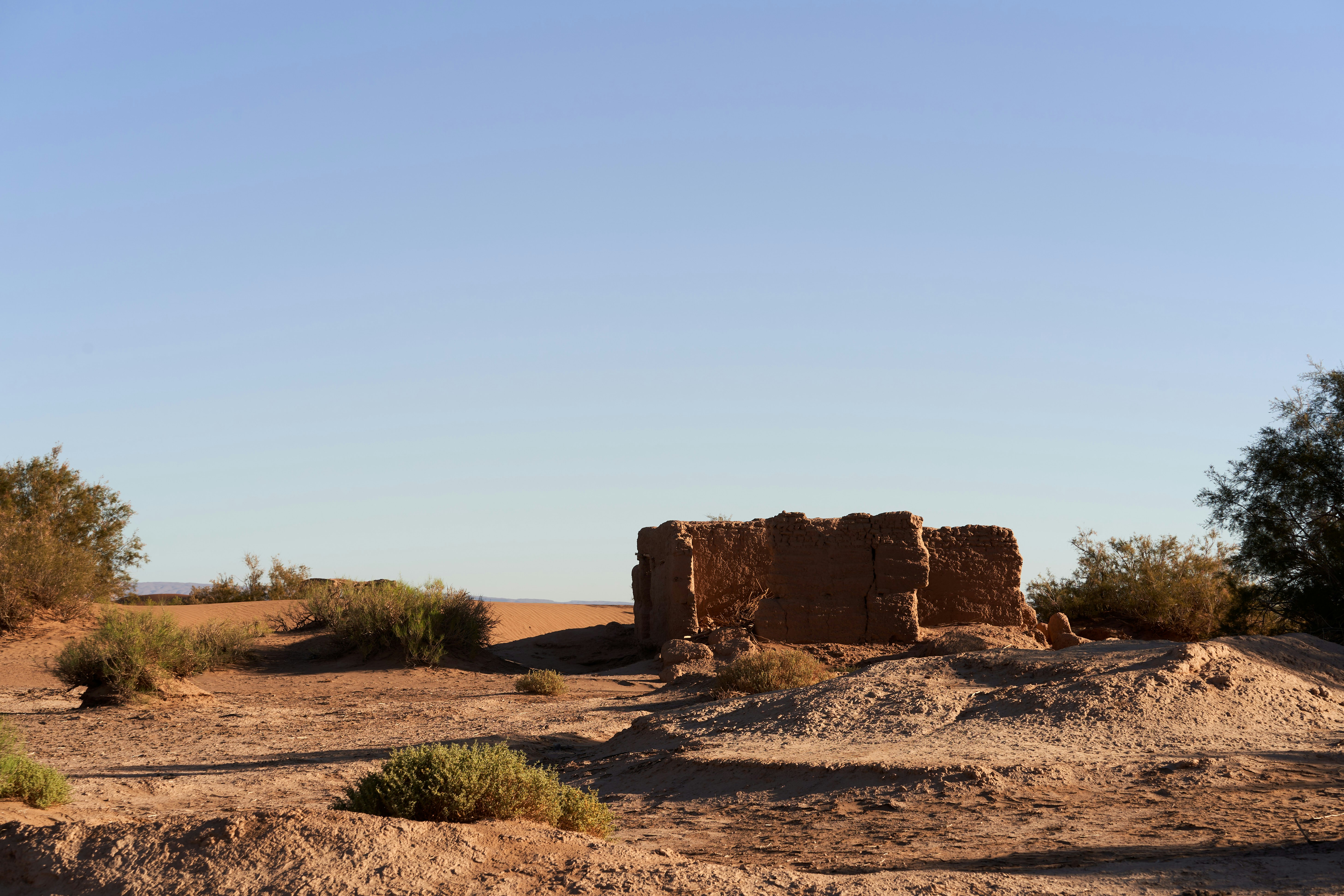 Photo by wolfgang_hasselmann