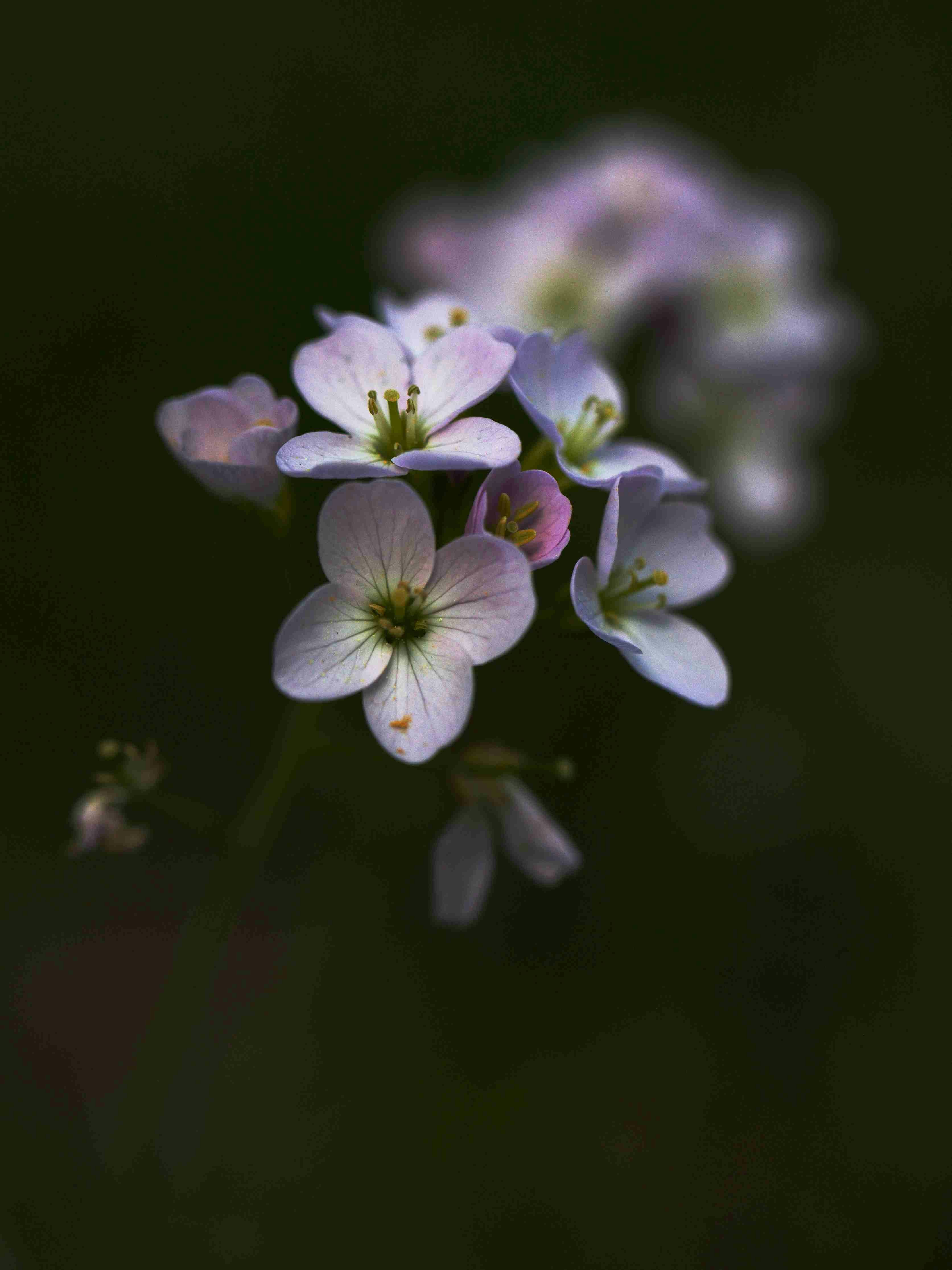Photo by pinpin_photo
