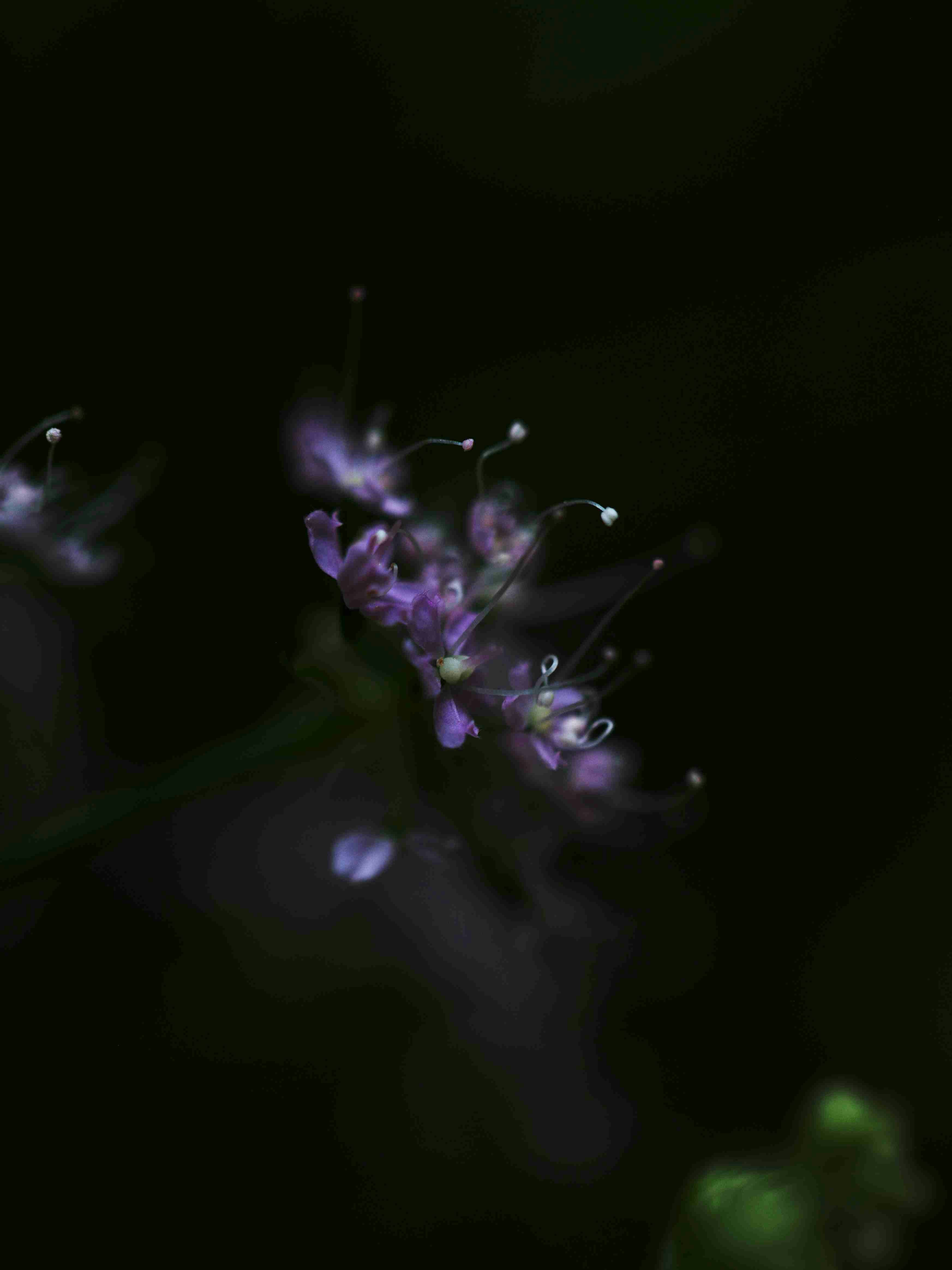 Photo by pinpin_photo