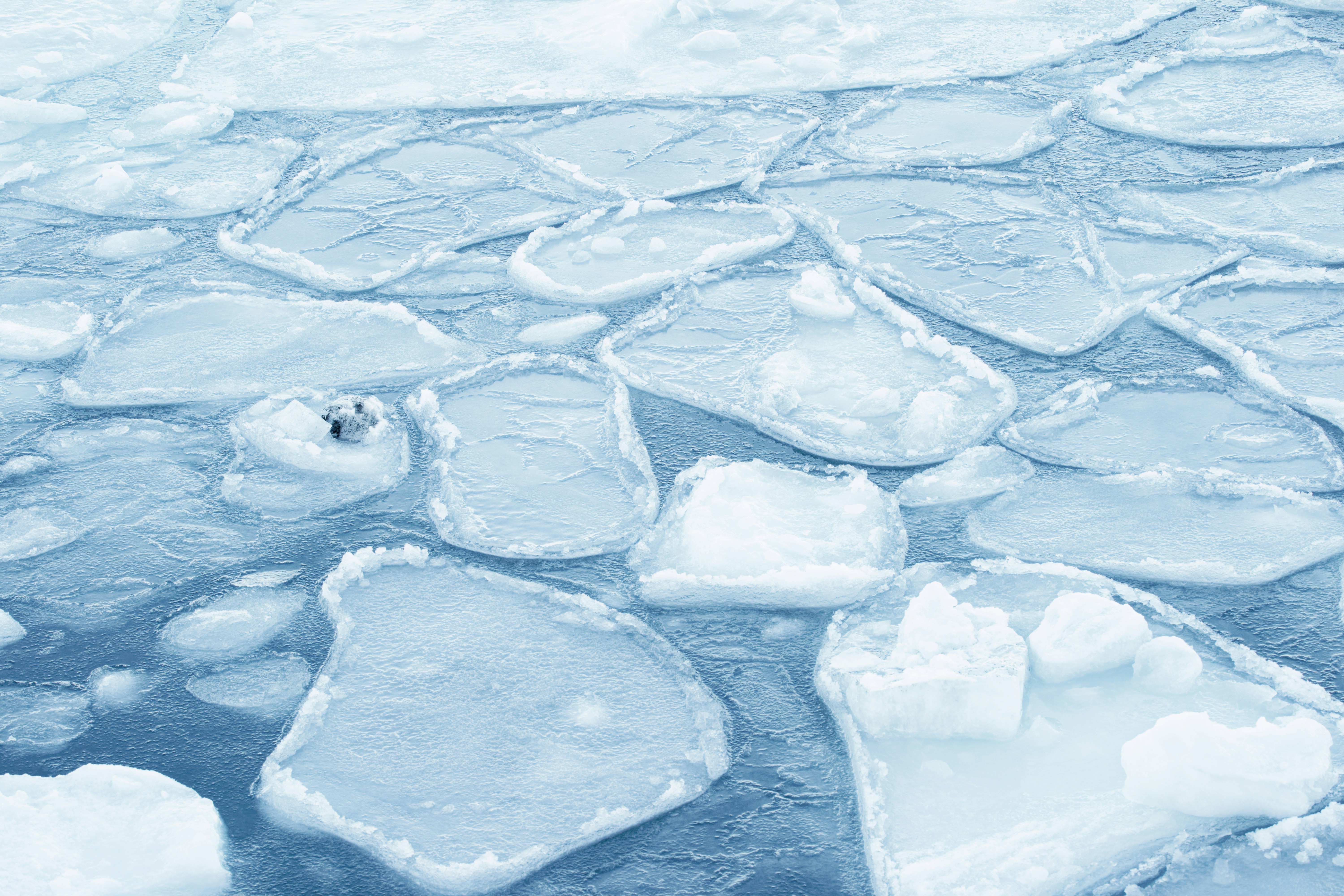 Photo by da_shika_photo