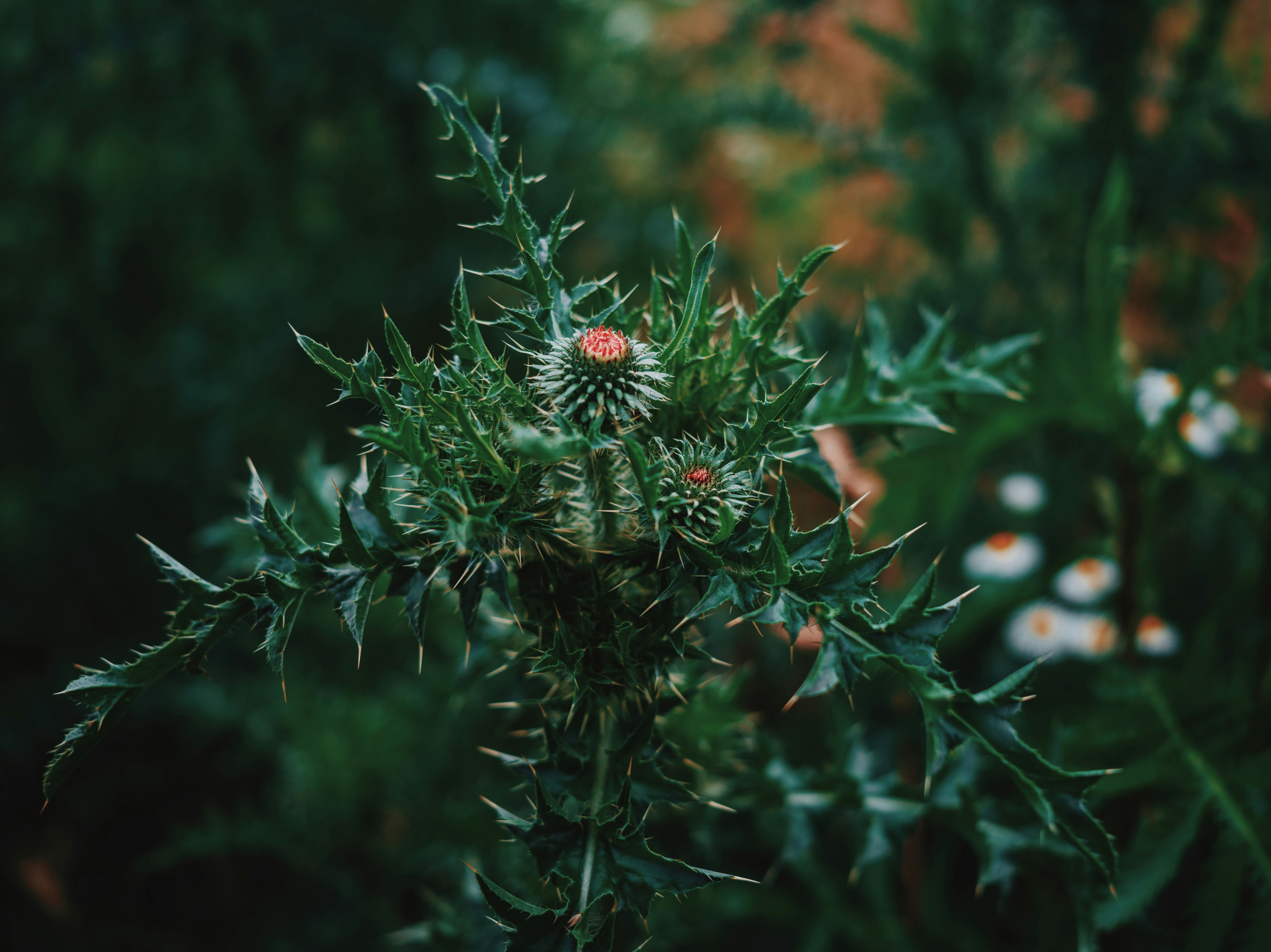 Photo by egorkomarov