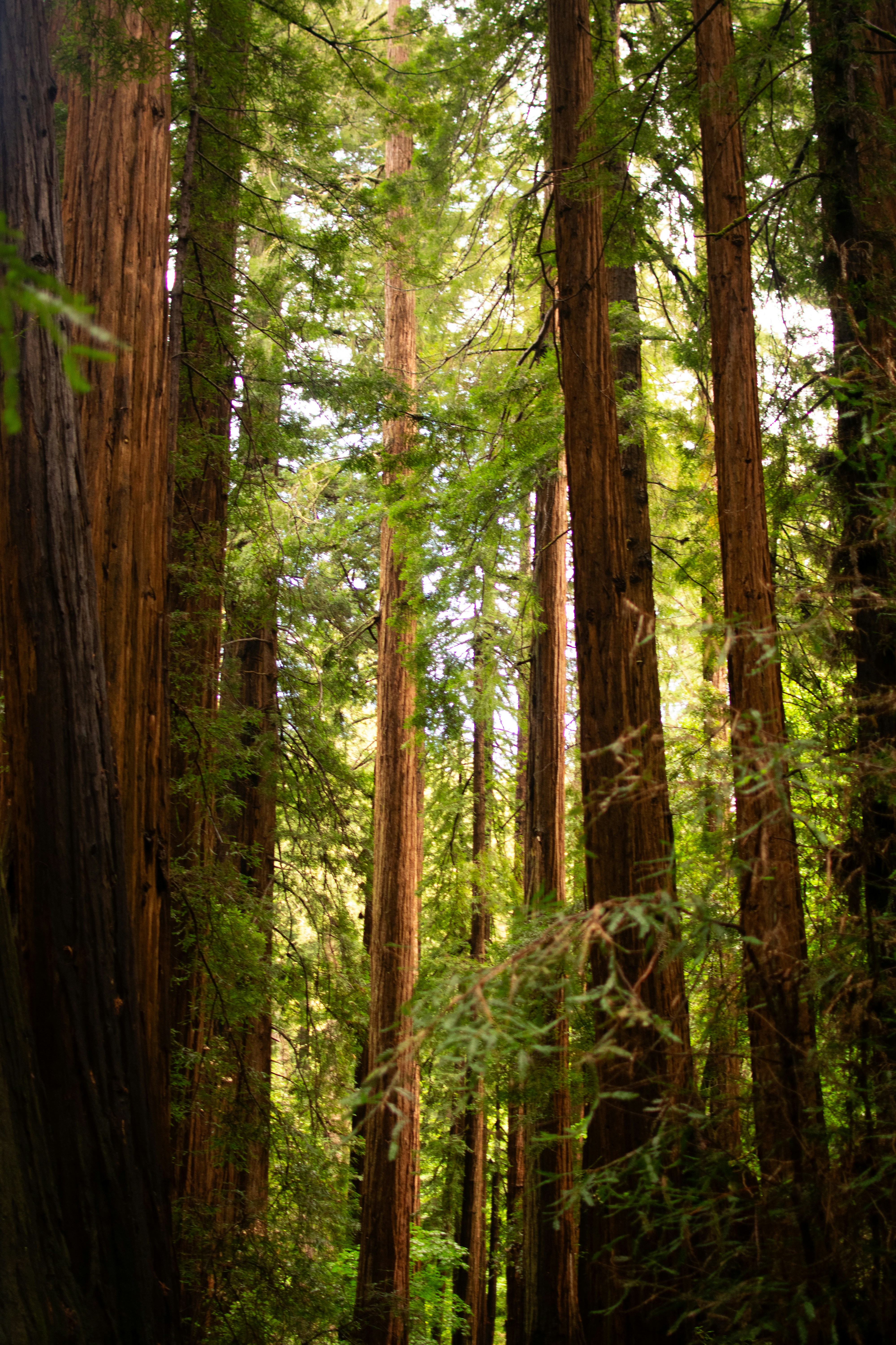 Photo by julianauribbe