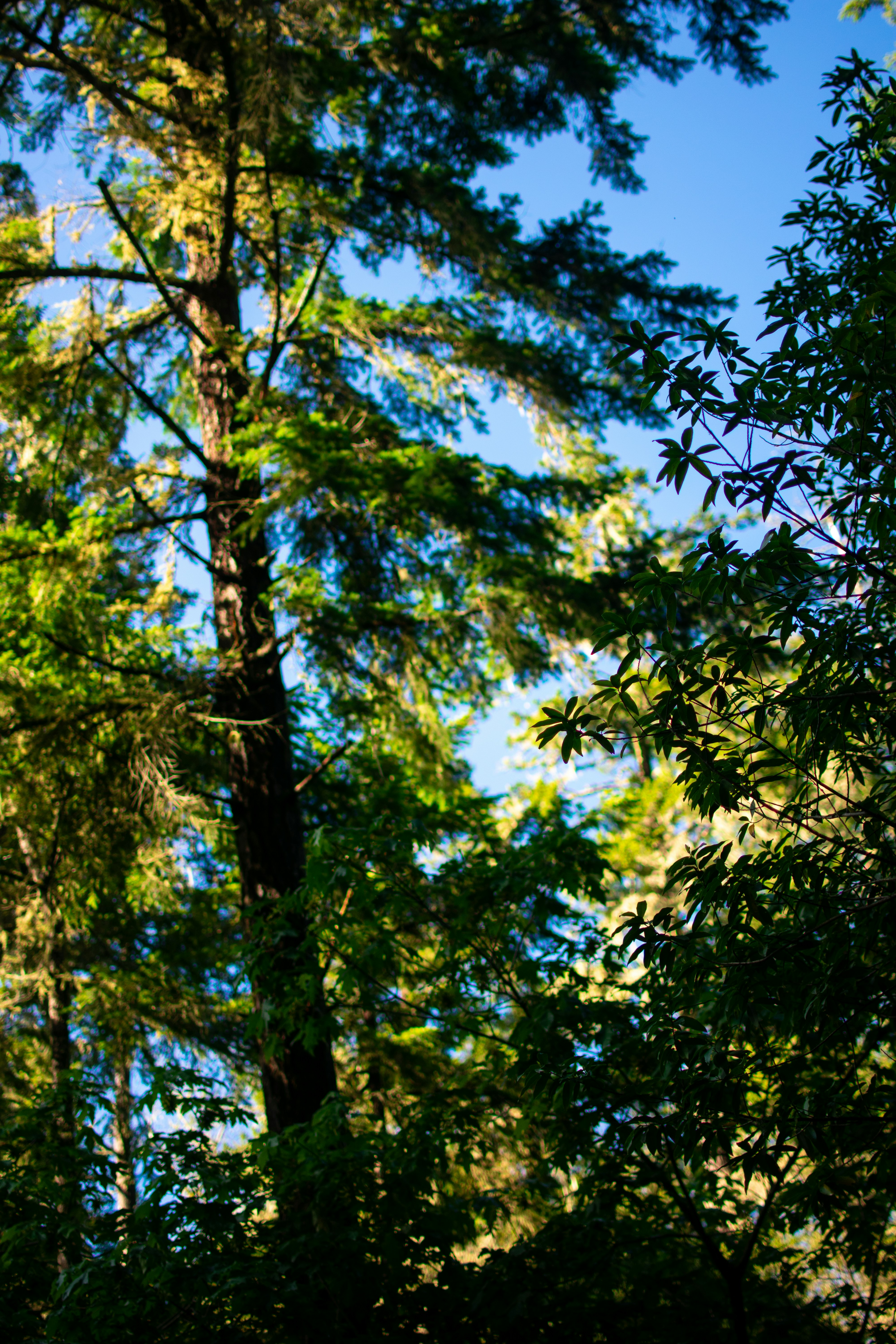 Photo by julianauribbe