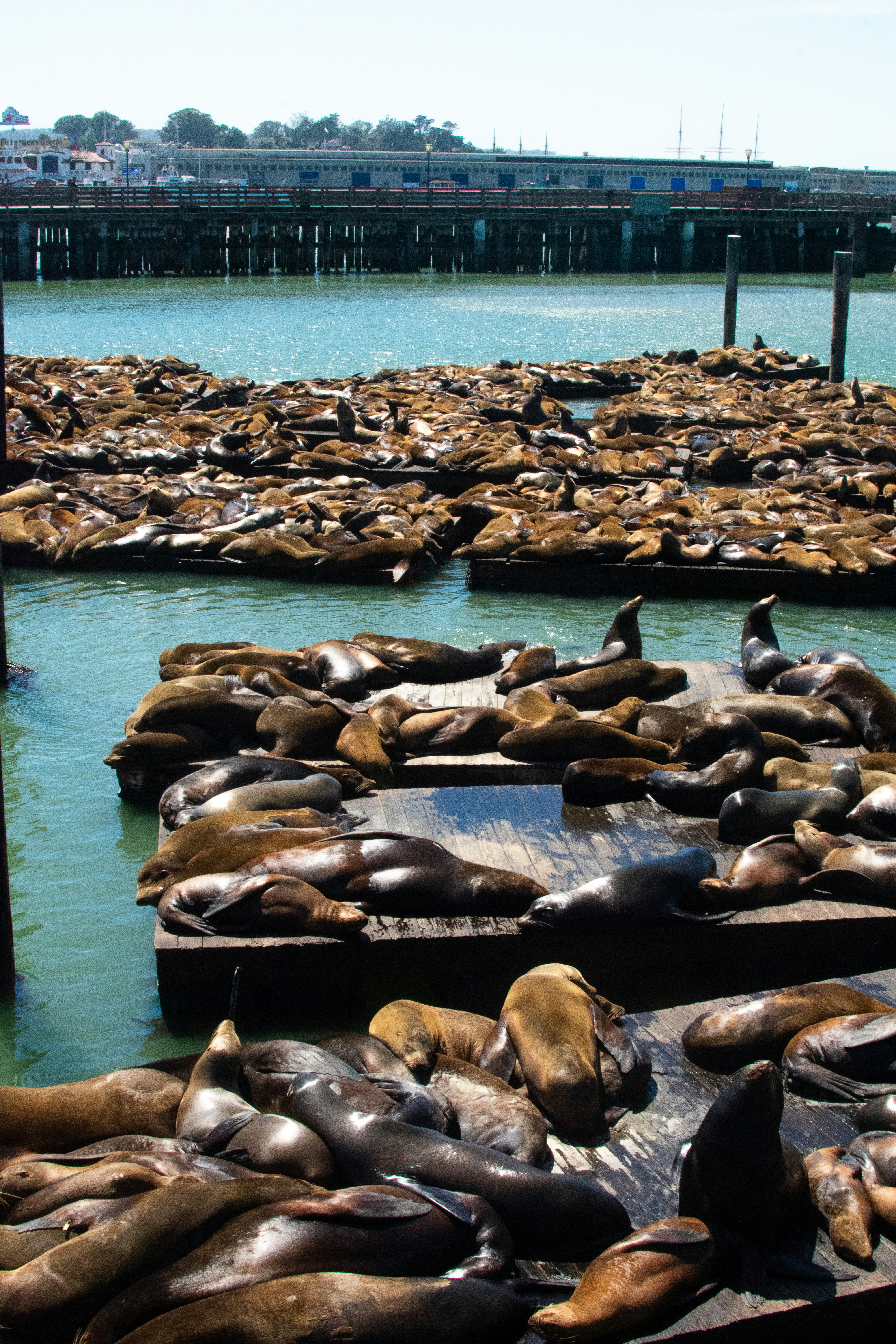 Photo by julianauribbe