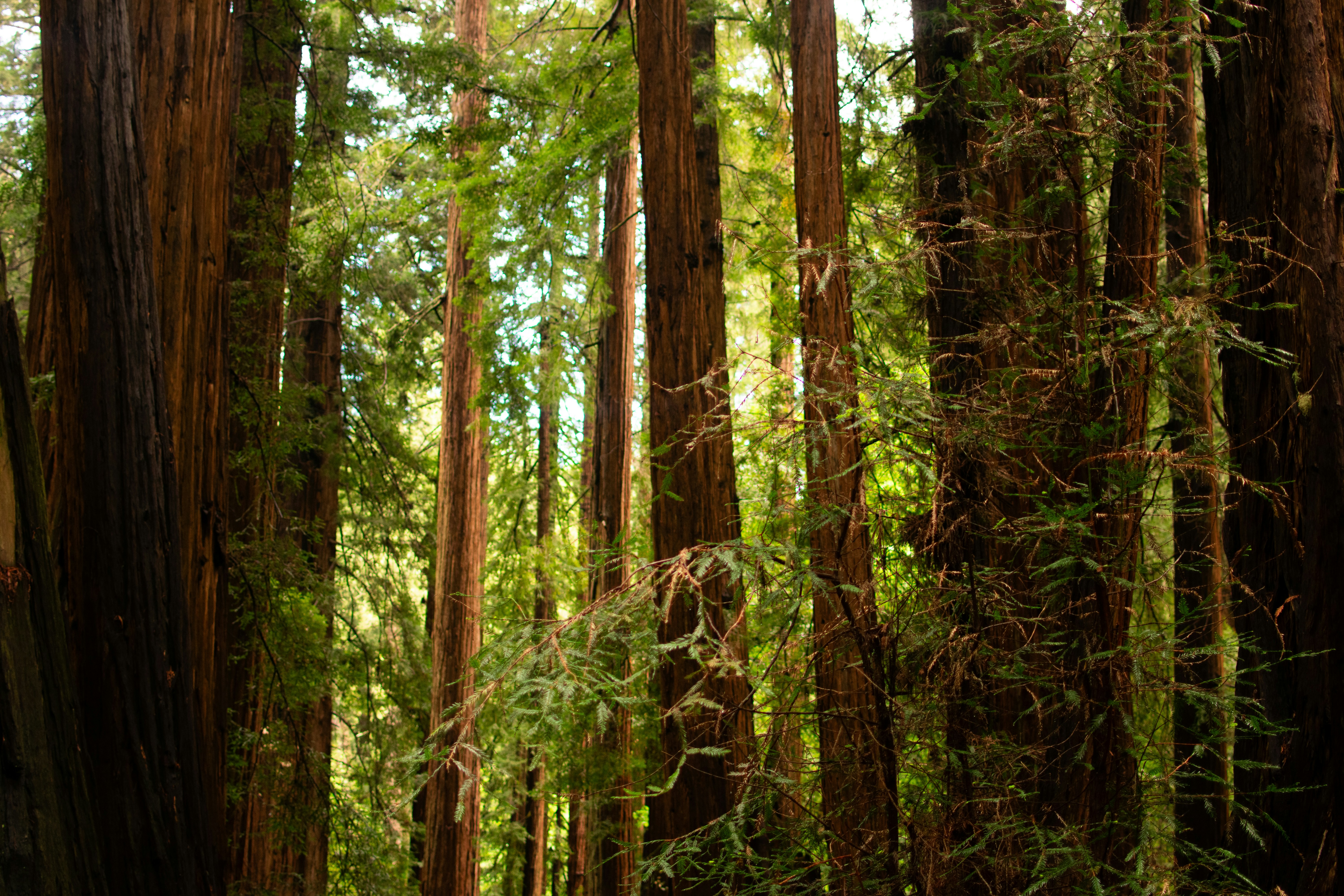 Photo by julianauribbe