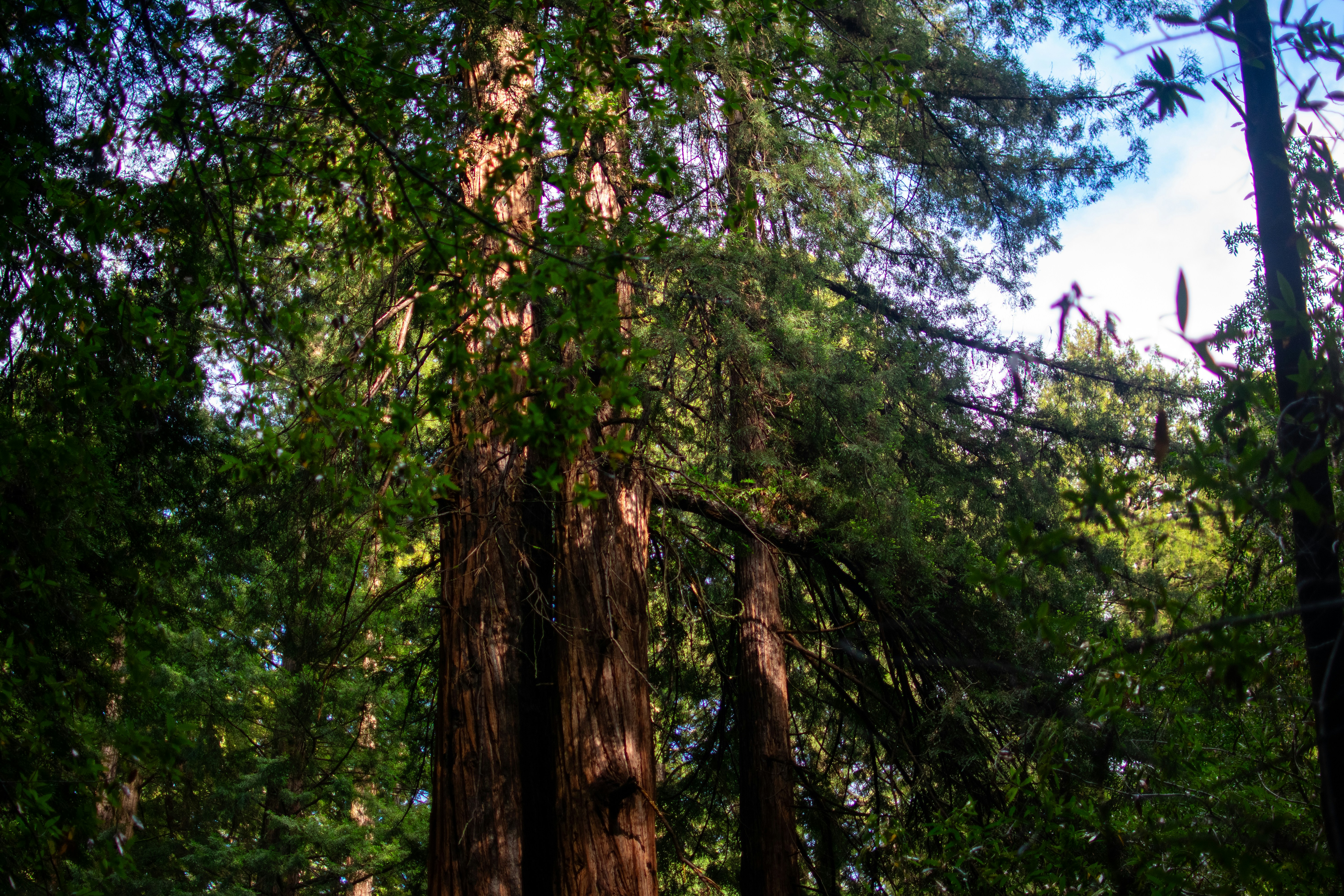 Photo by julianauribbe