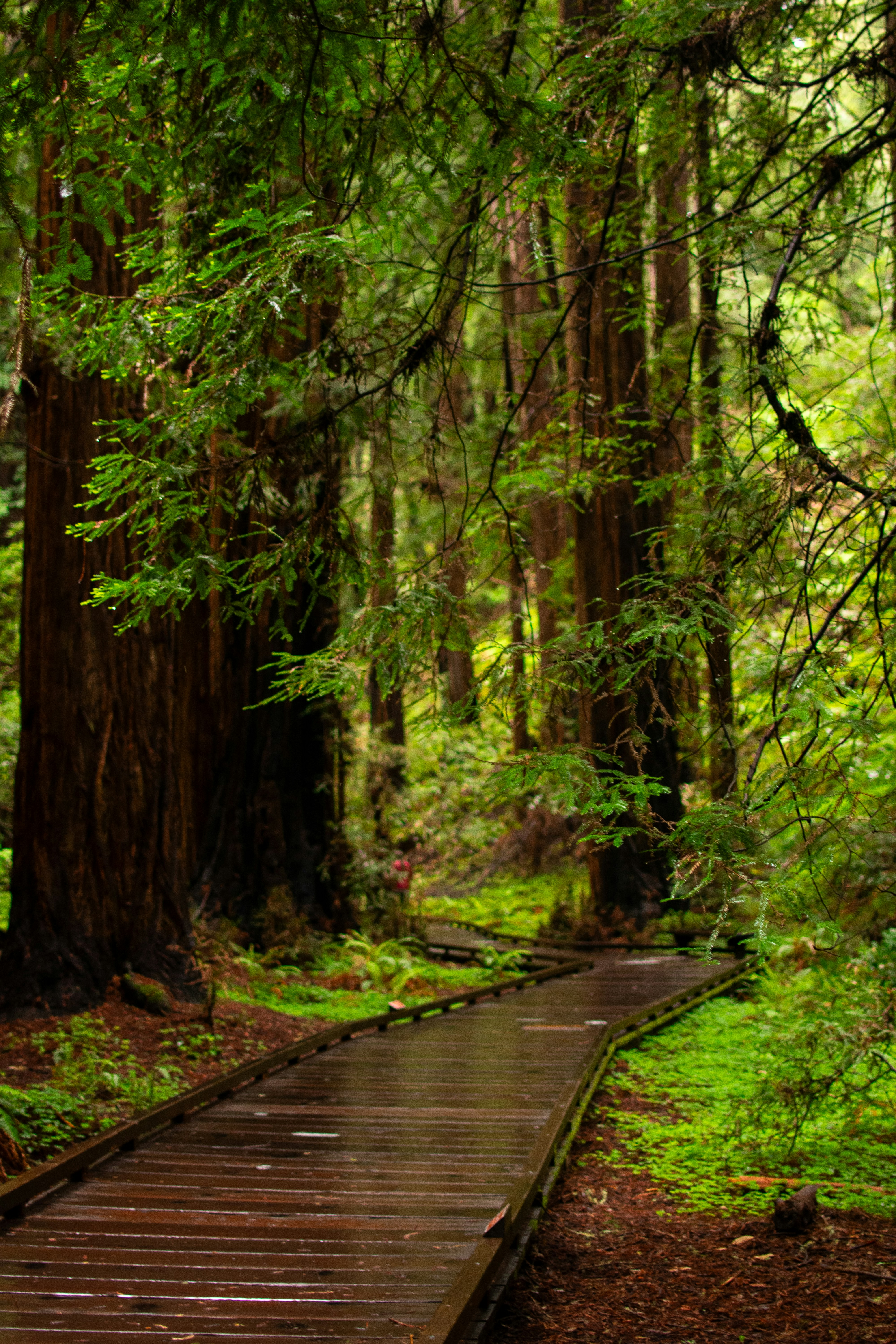 Photo by julianauribbe