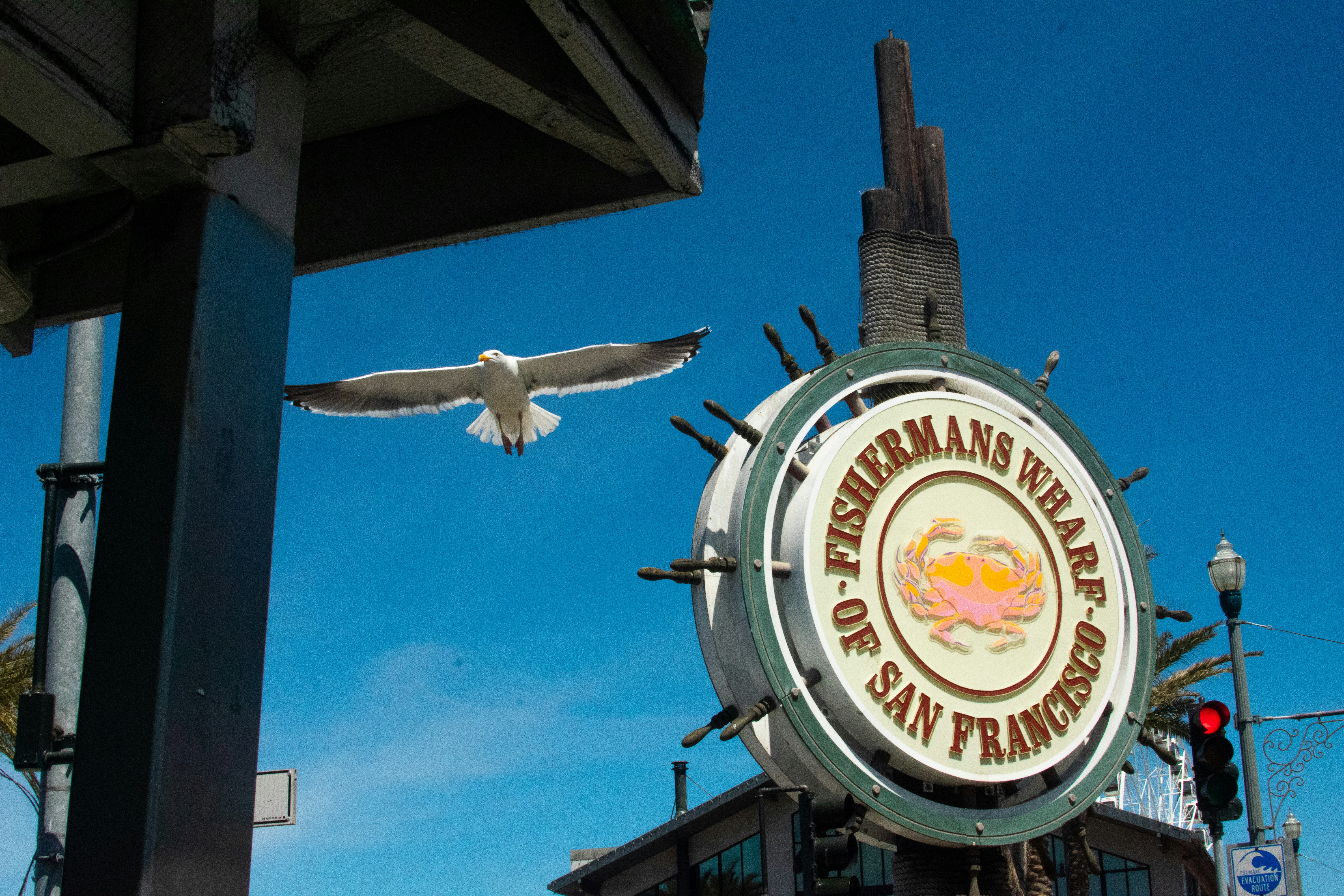 Monday Morning Headlines: Victim In Fisherman's Wharf Shooting ID'd