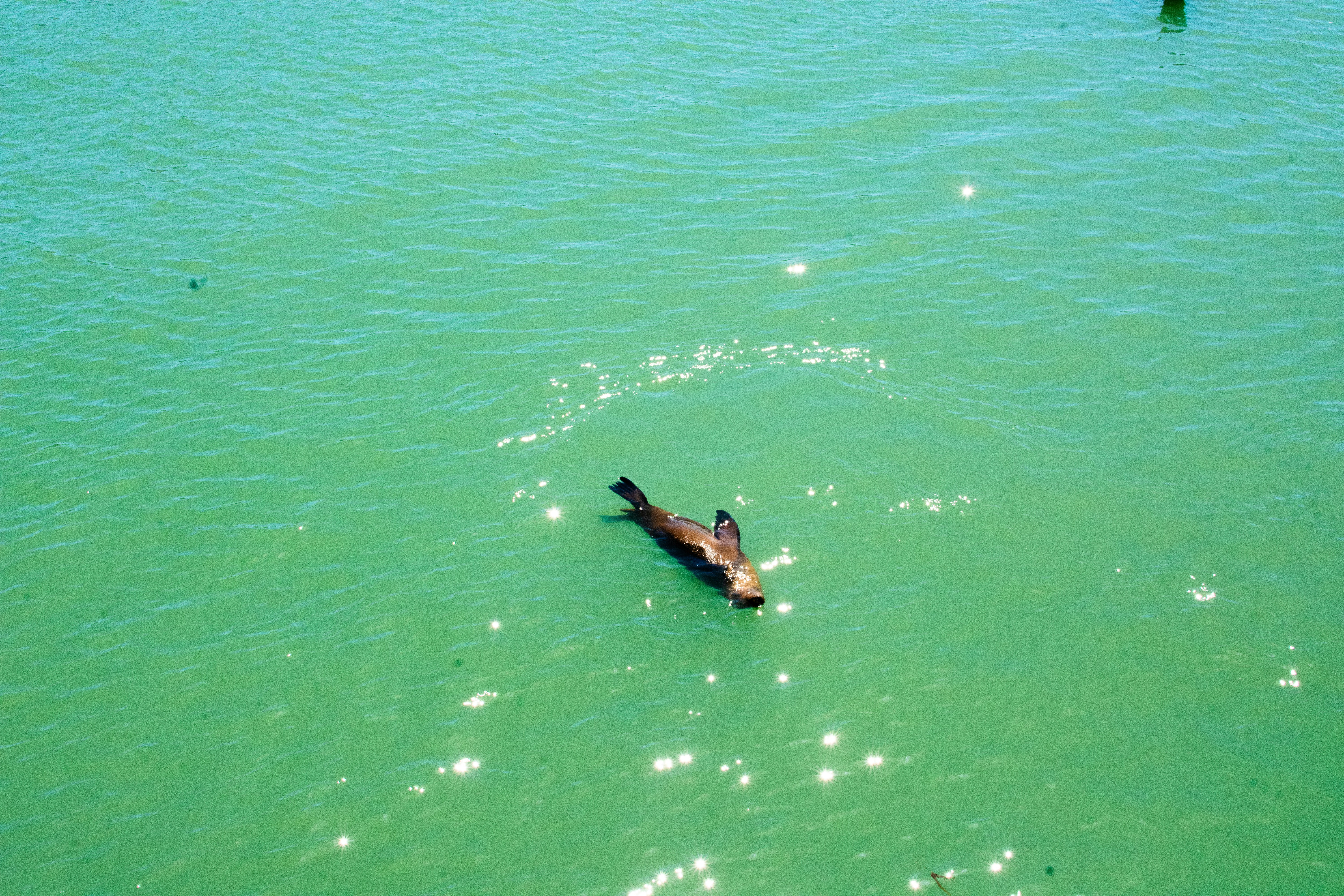 Photo by julianauribbe