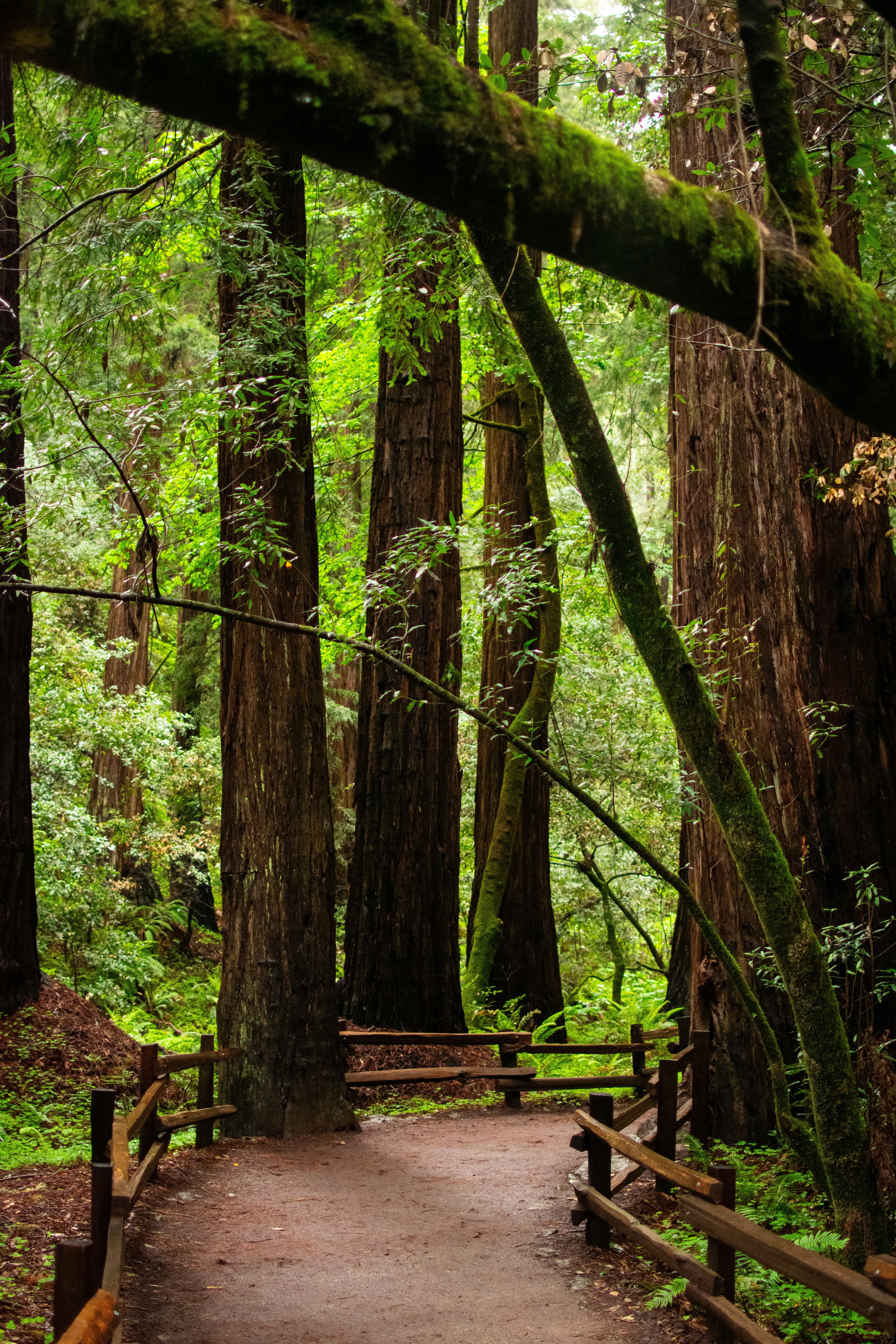 Photo by julianauribbe