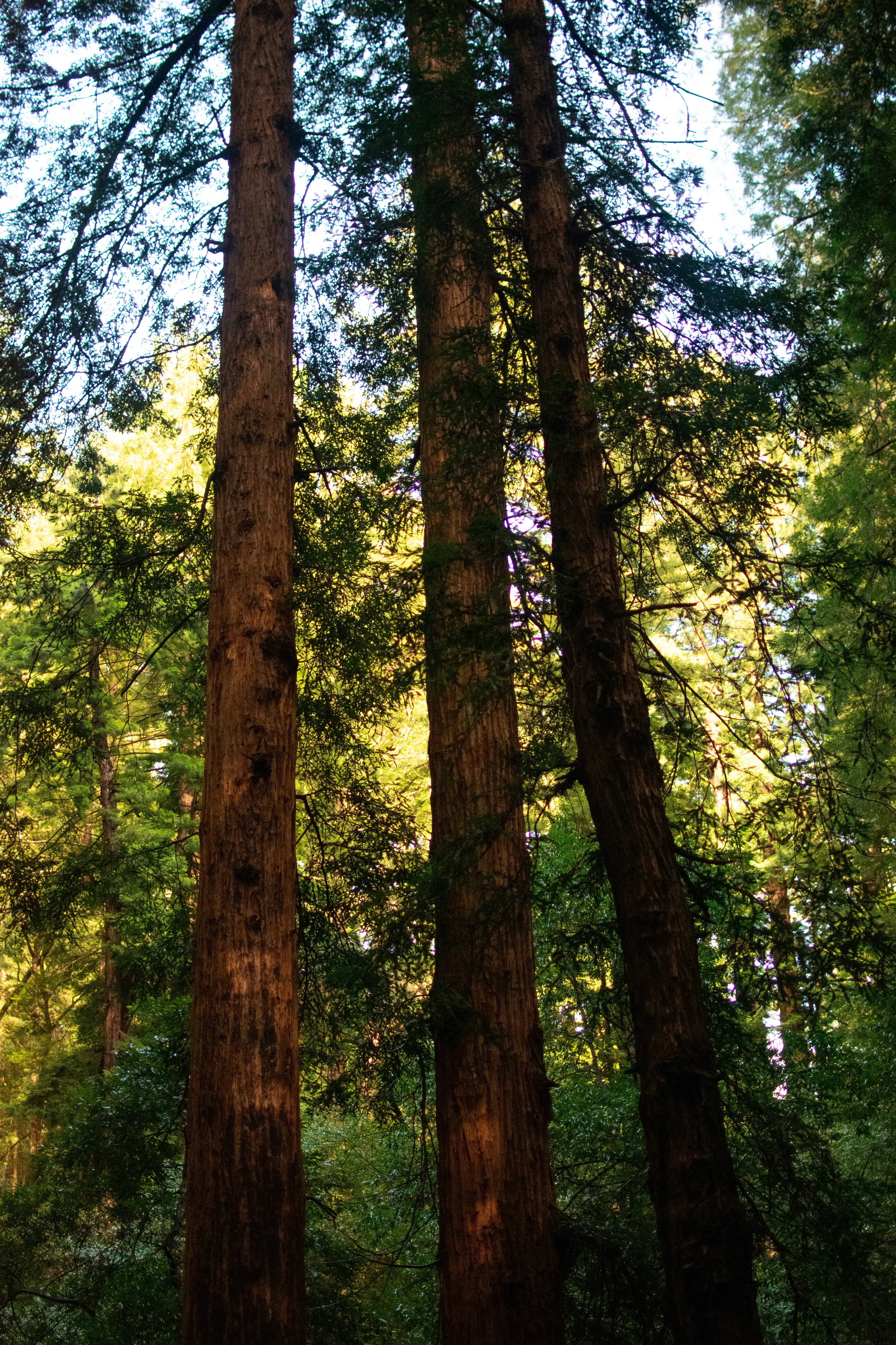 Photo by julianauribbe