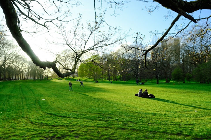 Northeastern University London