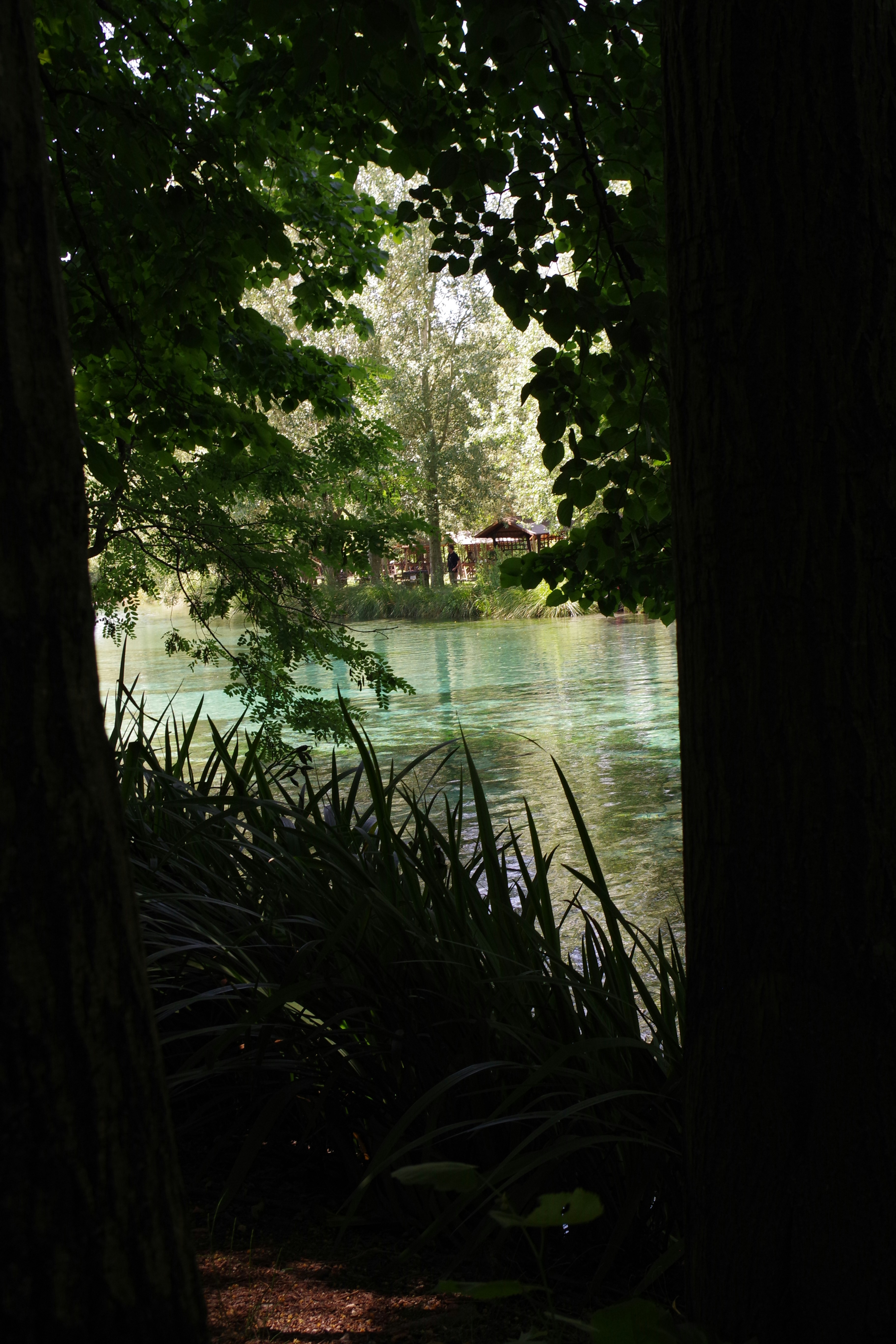 A view of a body of water through some trees