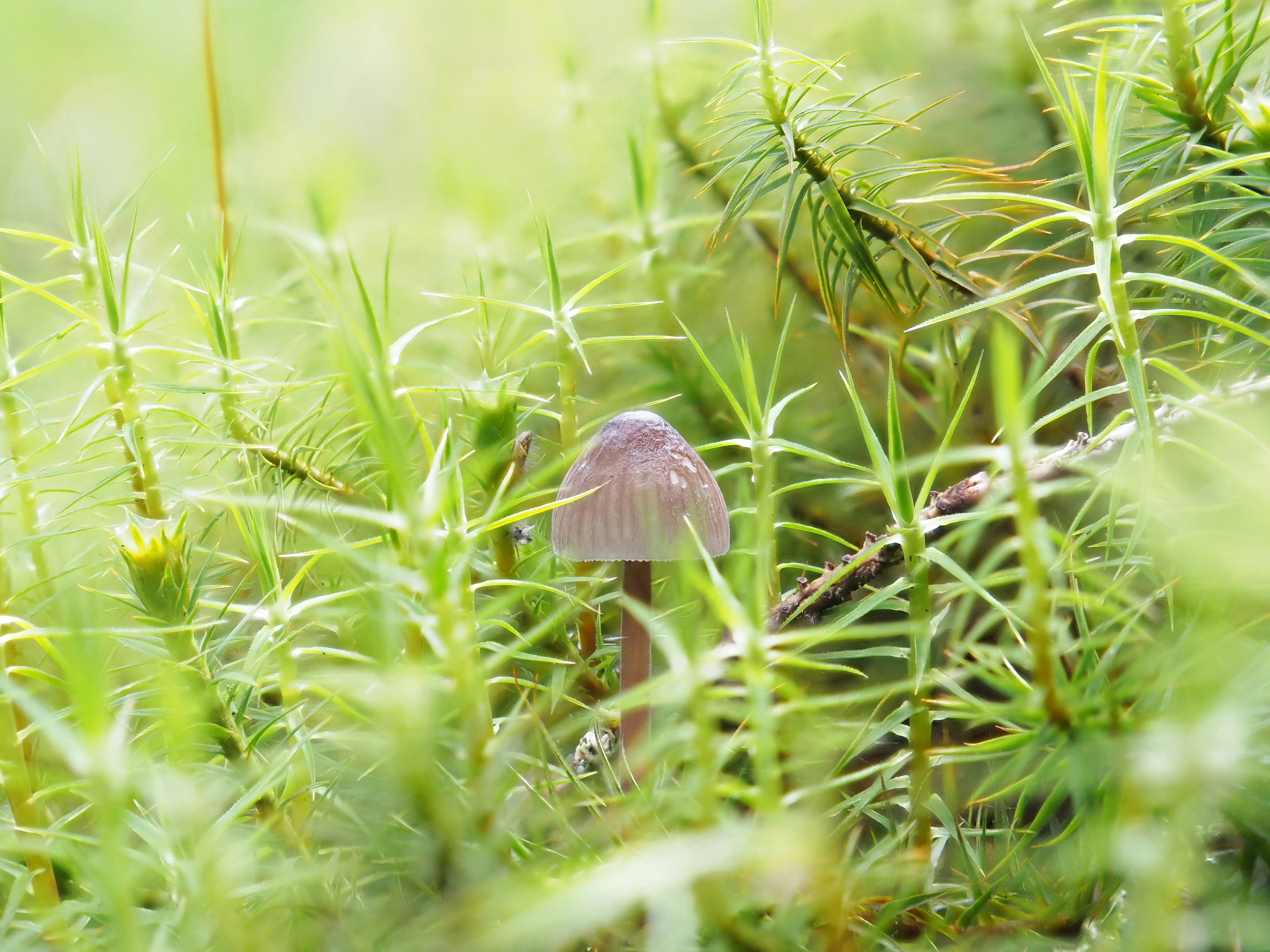 Photo by illes_cristi