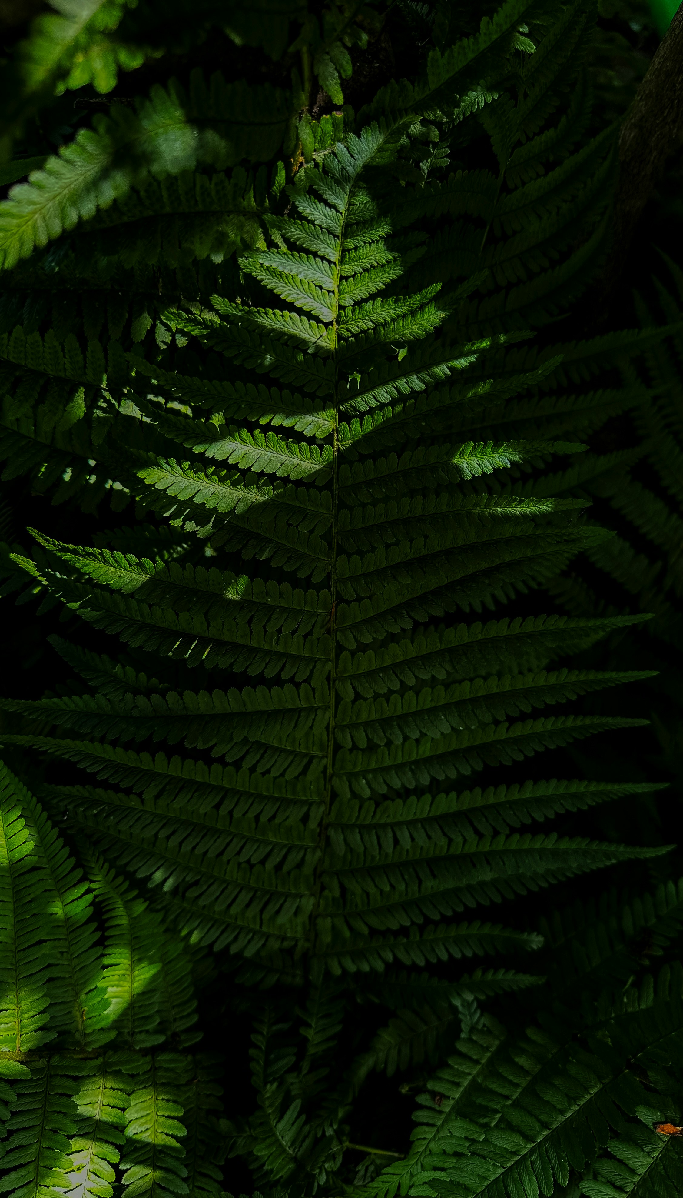 Photo by rewrite_thestars