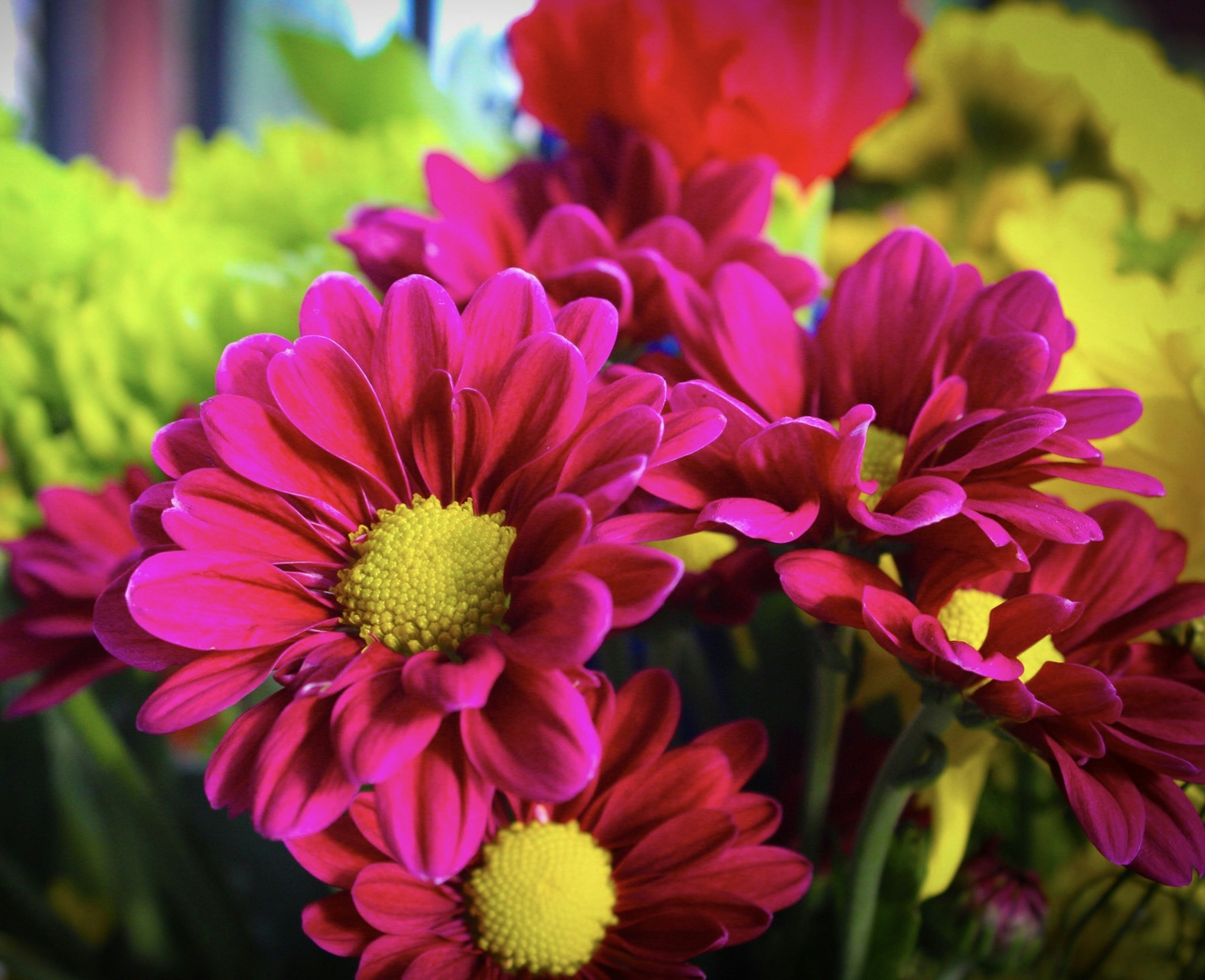 A bunch of flowers that are in a vase