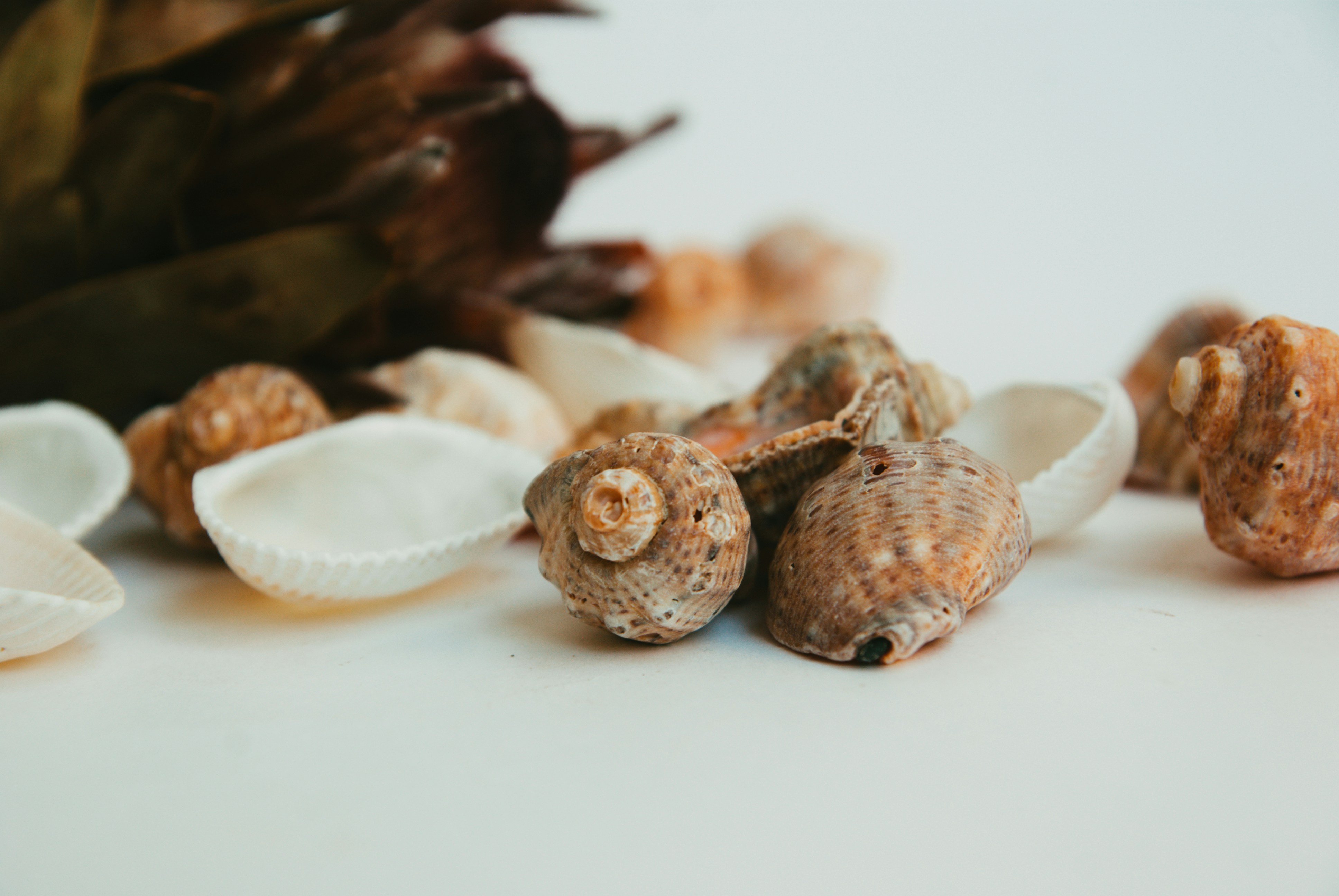 Photo by moonmoons_days