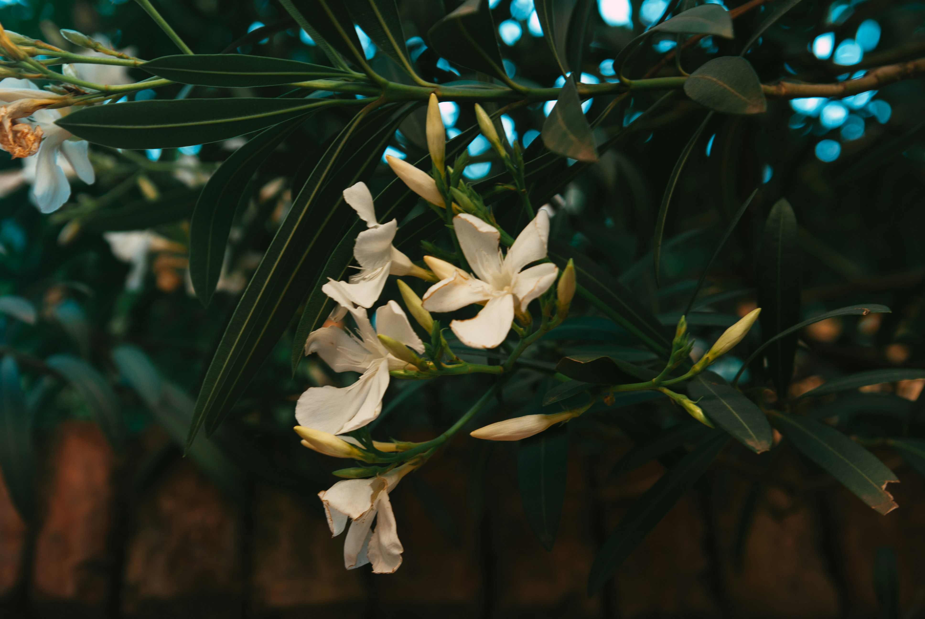 Photo by moonmoons_days