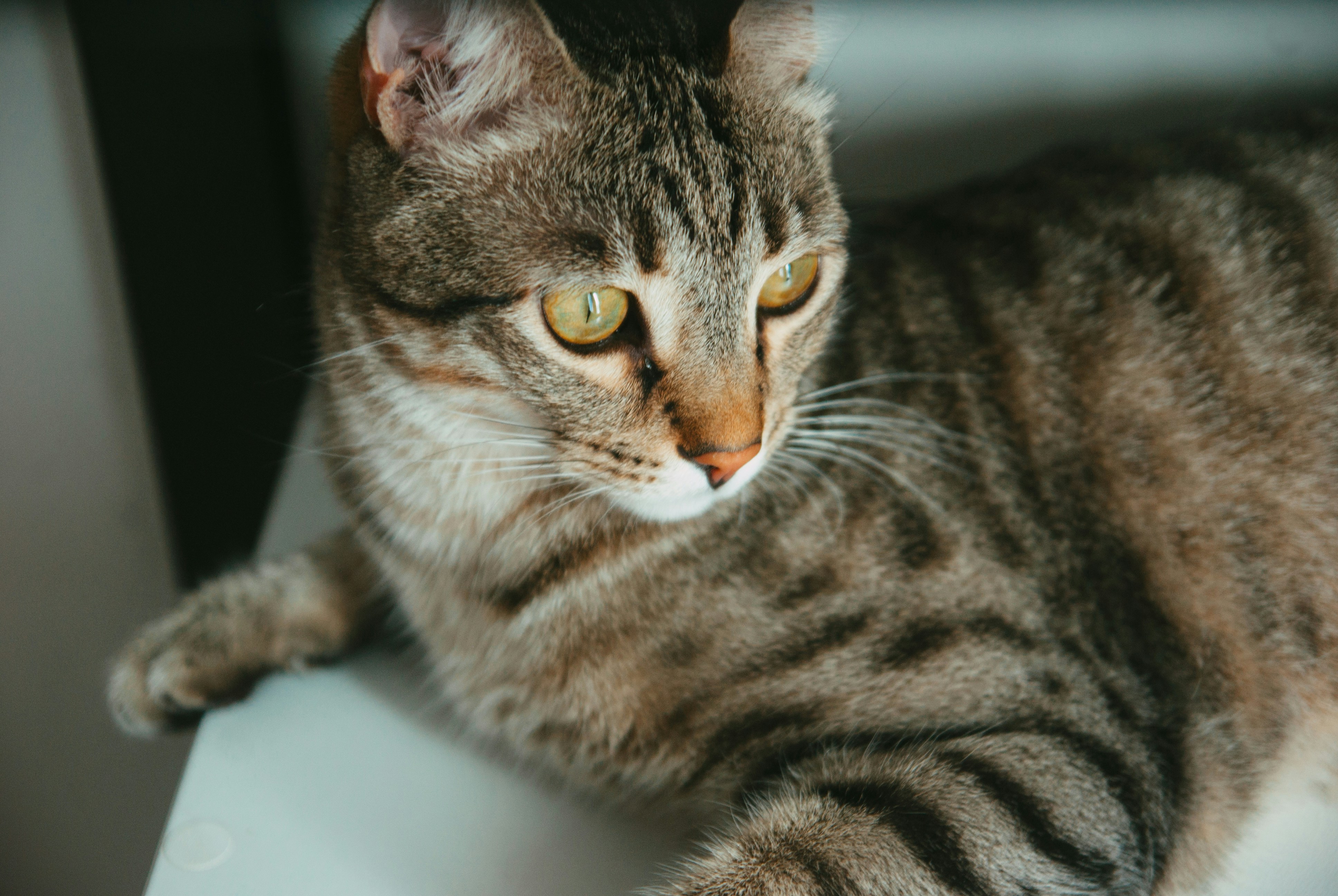 Photo by moonmoons_days