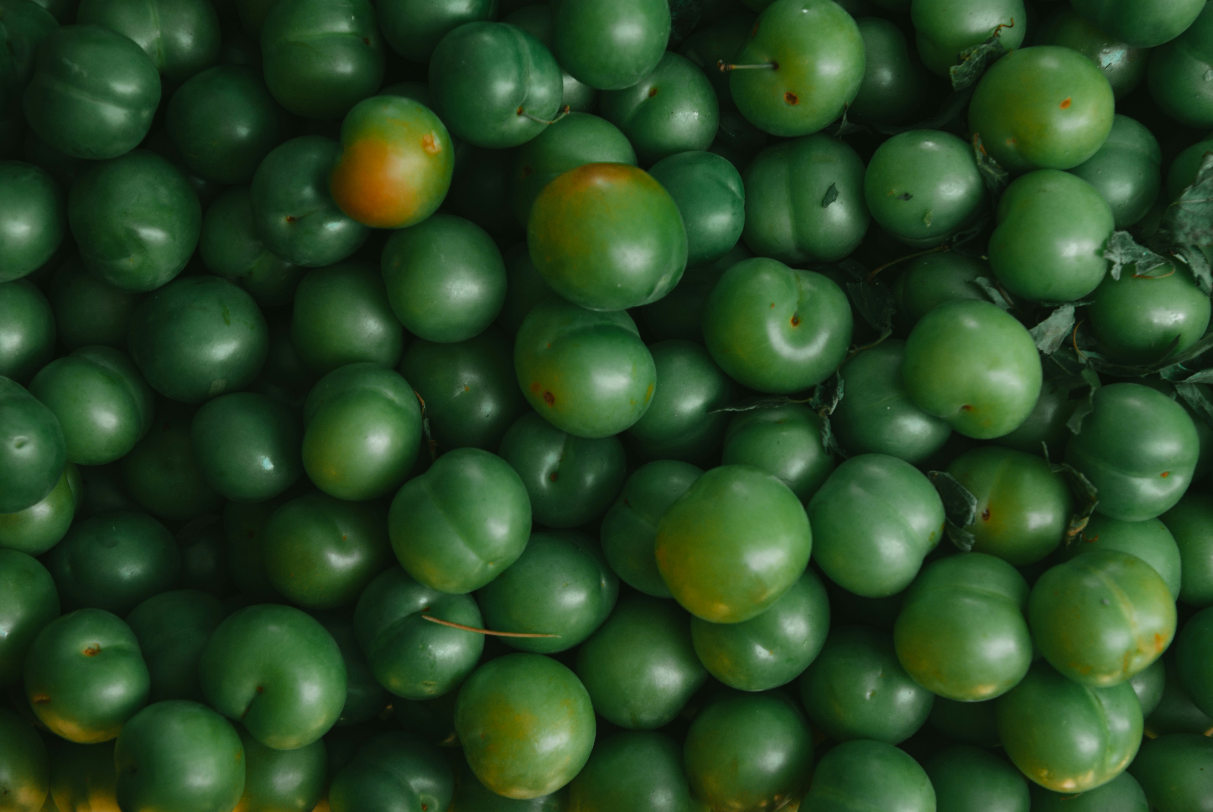 Photo by moonmoons_days