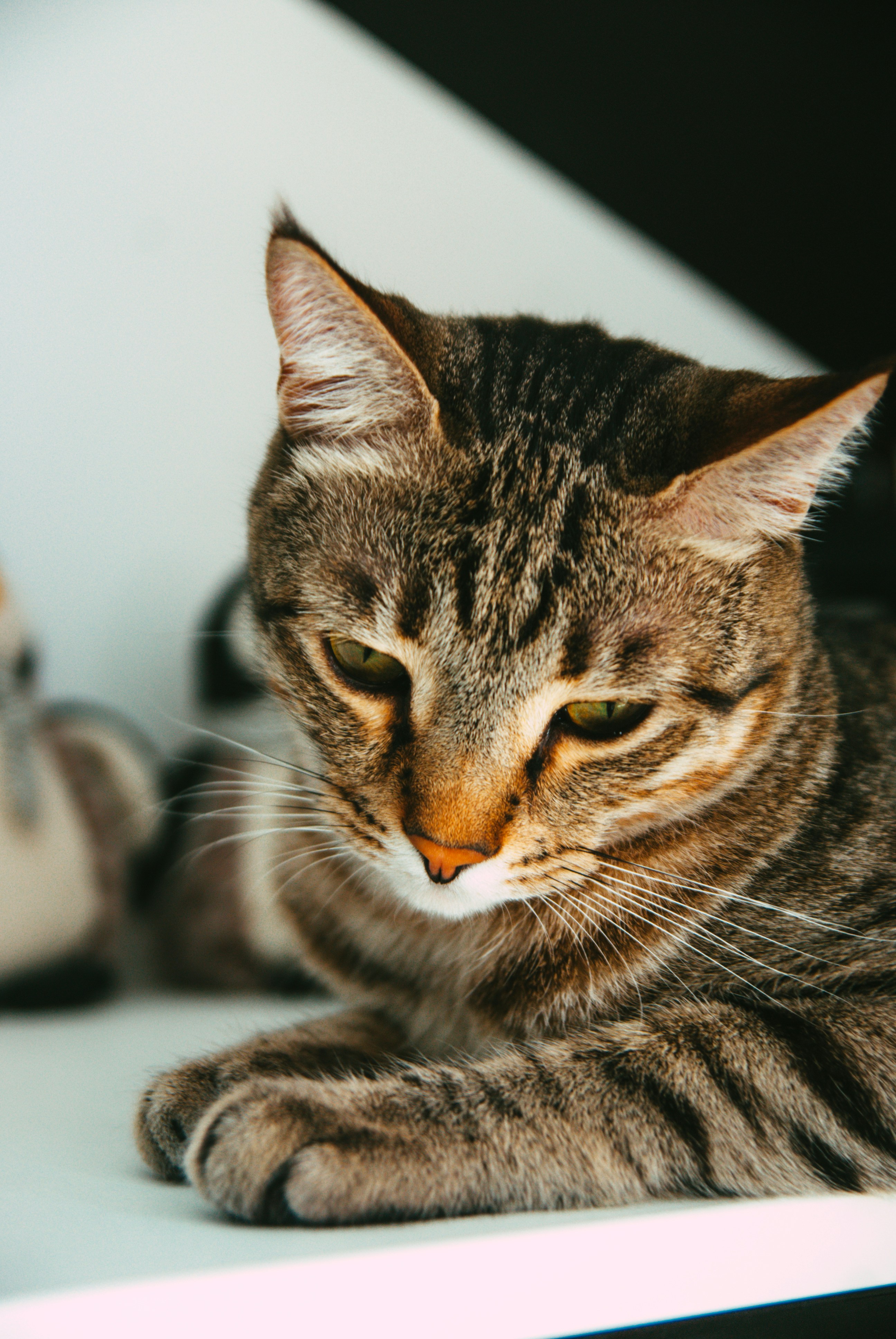 Photo by moonmoons_days