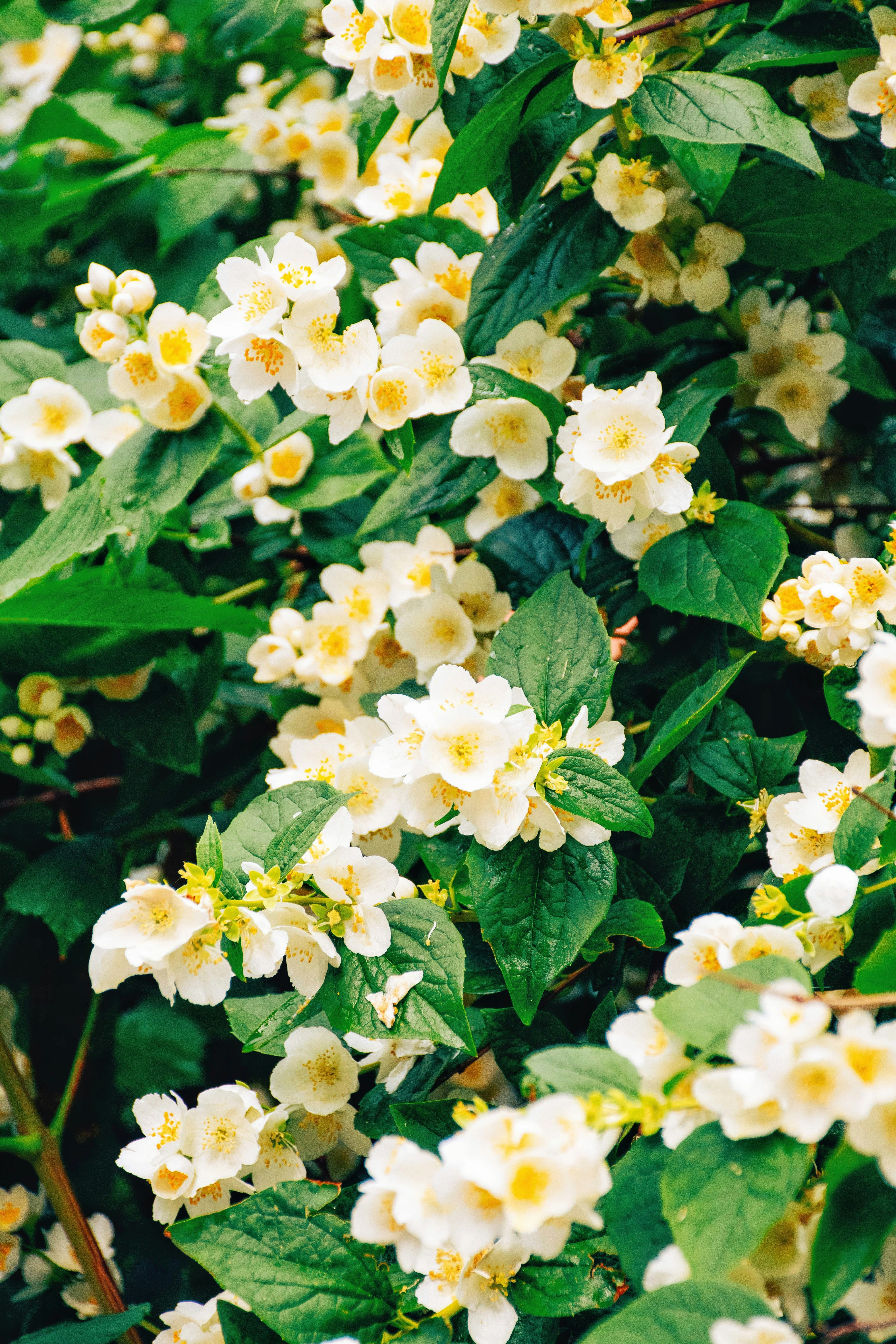 Photo by olga_trishi