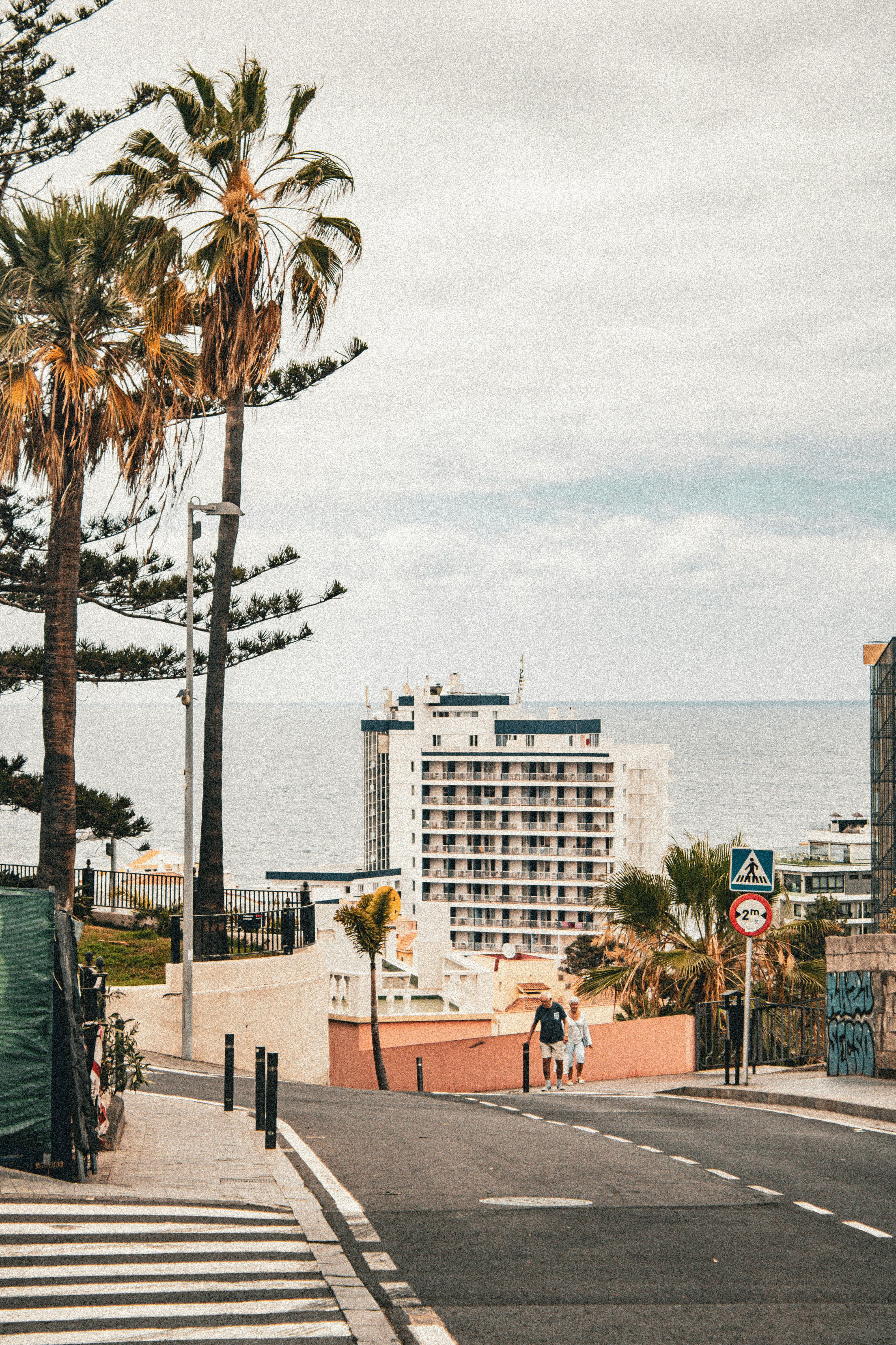 A street with palm trees on both sides of it