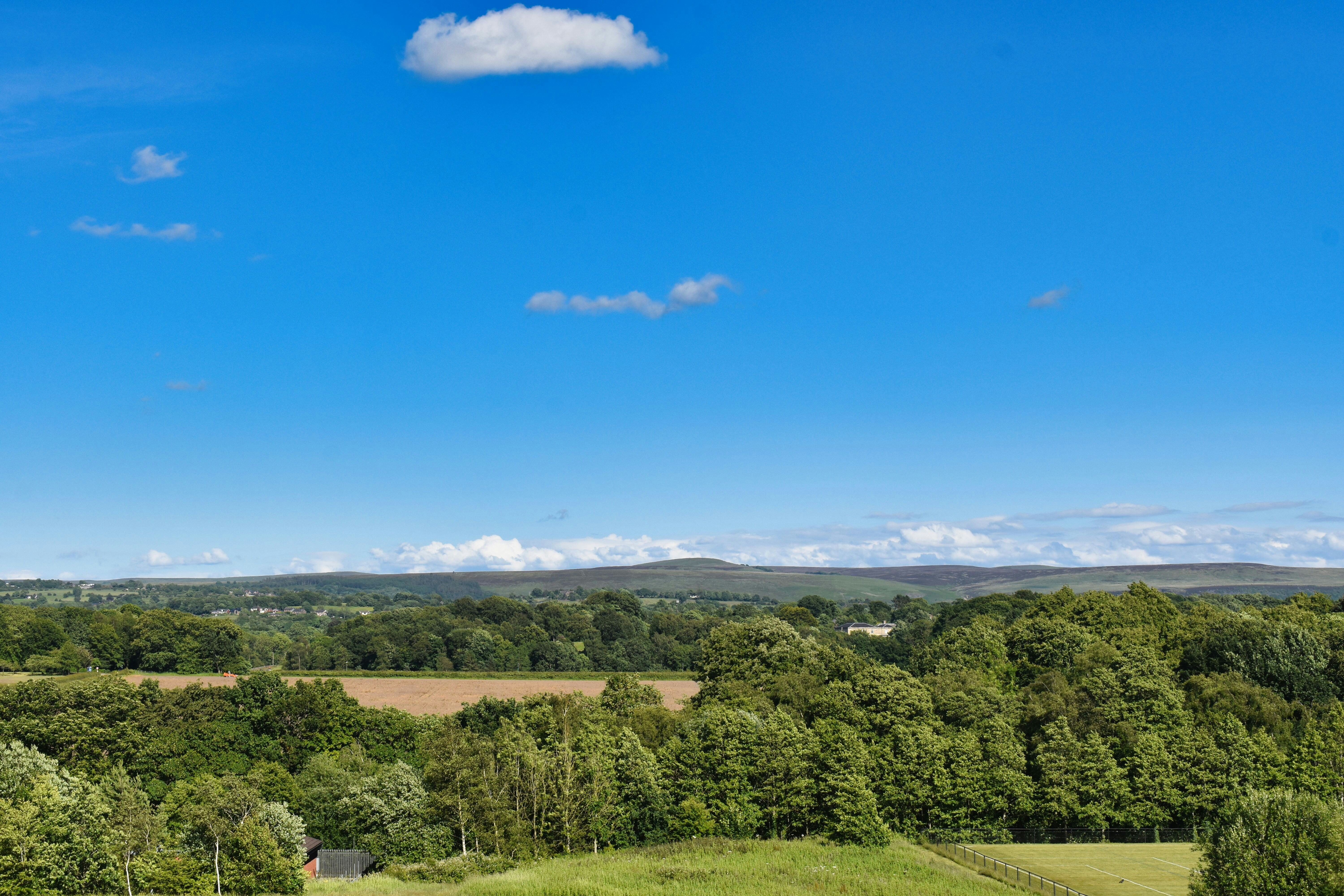 Photo by andrew_hall