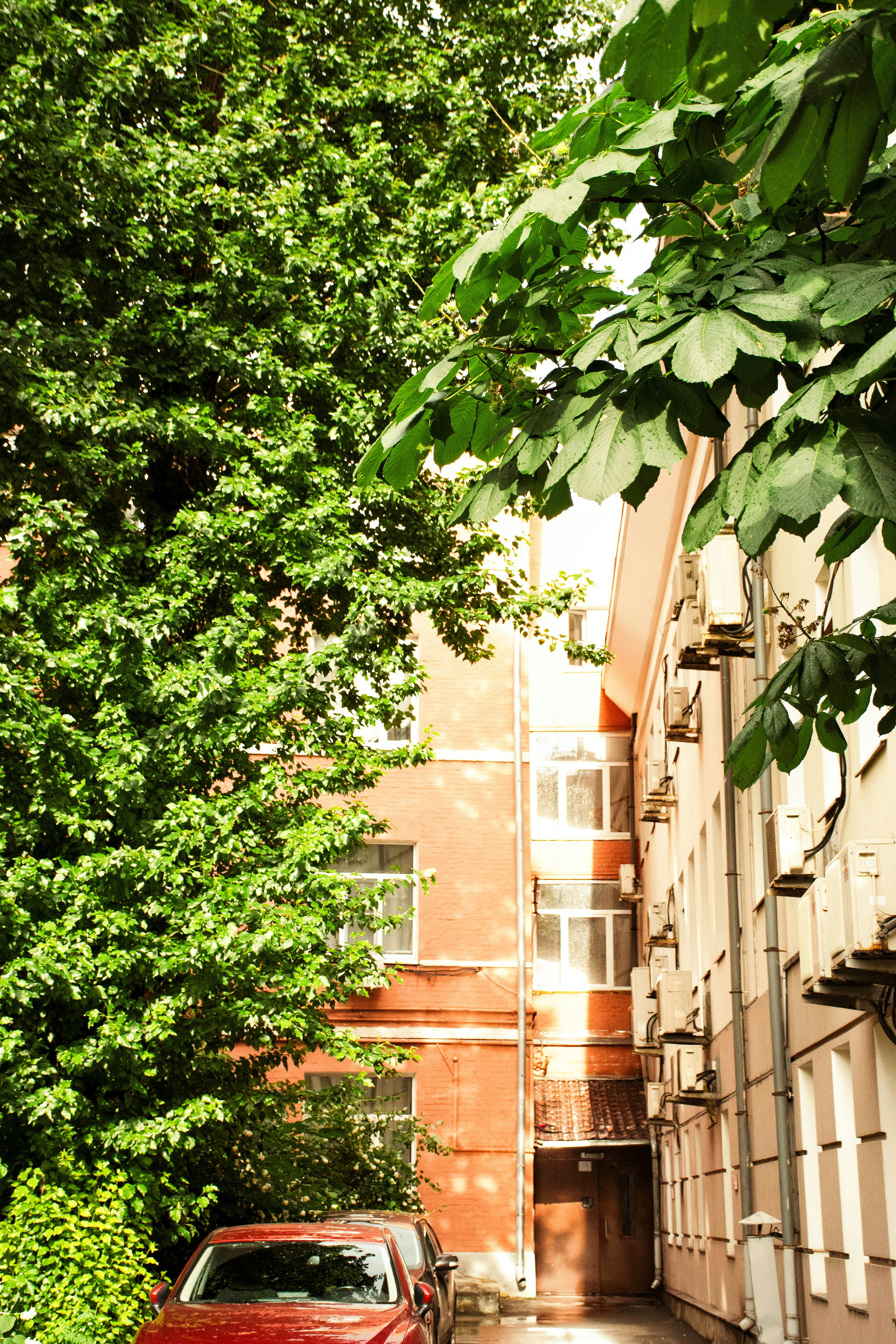 Photo by olga_trishi