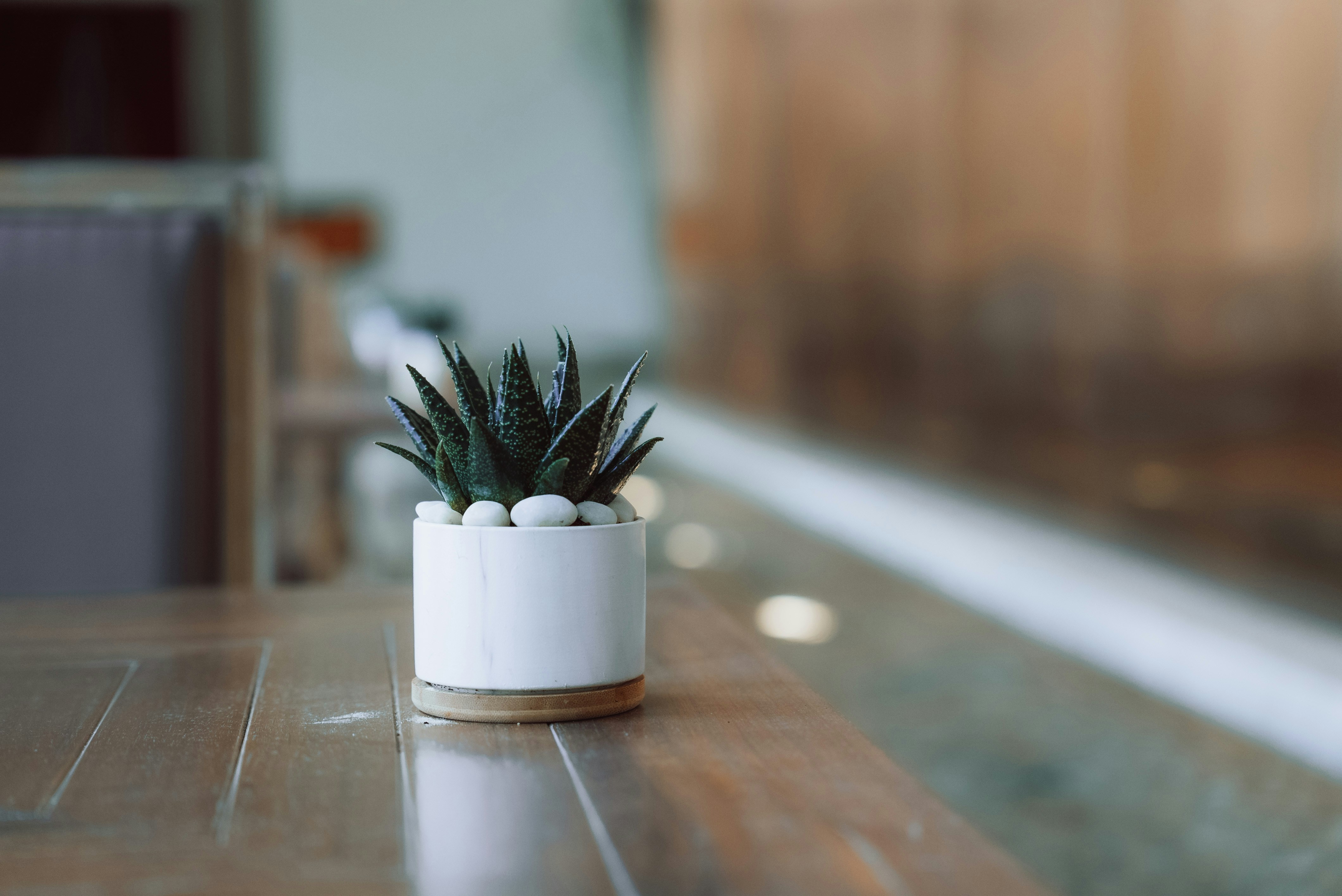 Photo by nejc_soklic