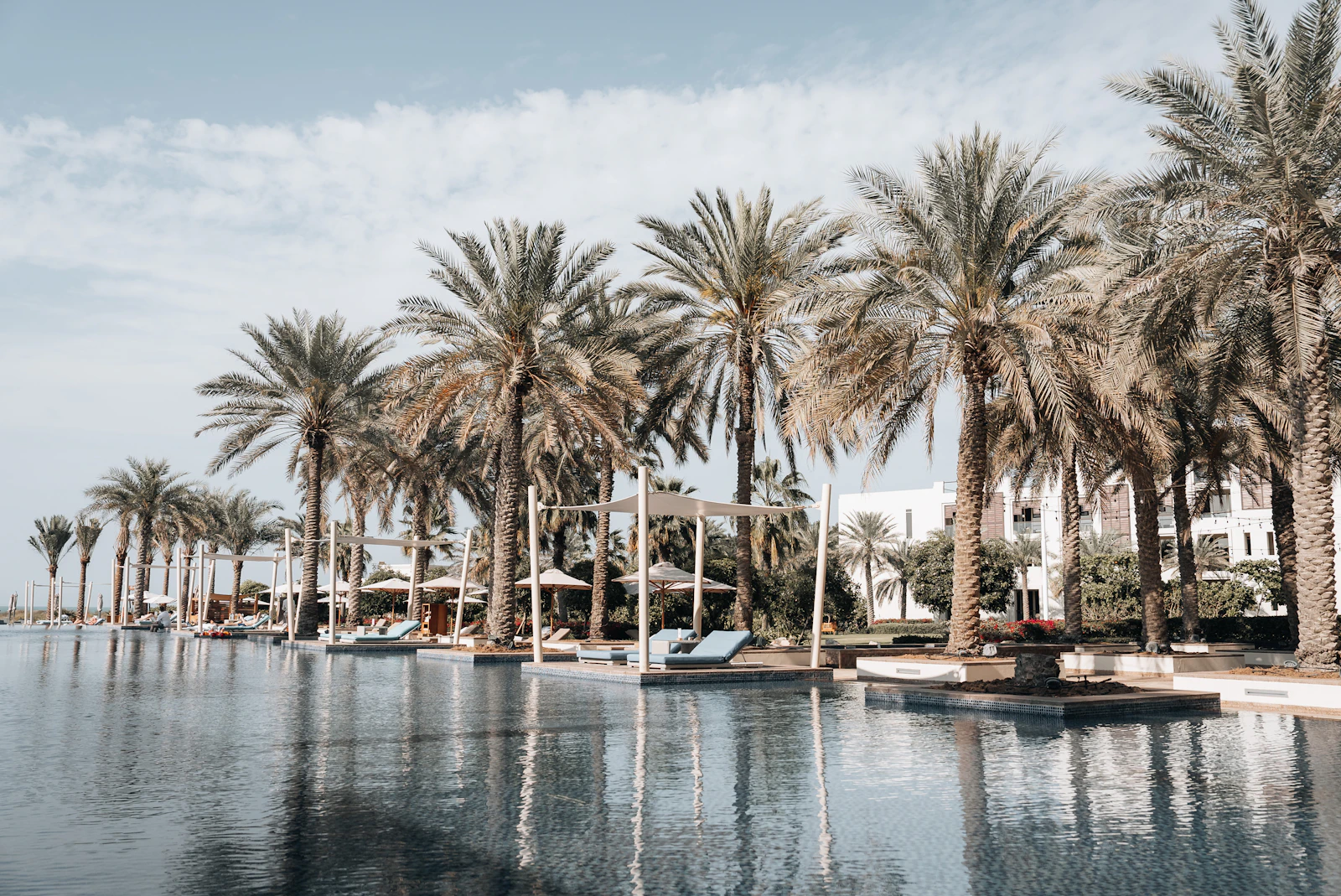 Palm-lined swimming pool in Abu Dhabi