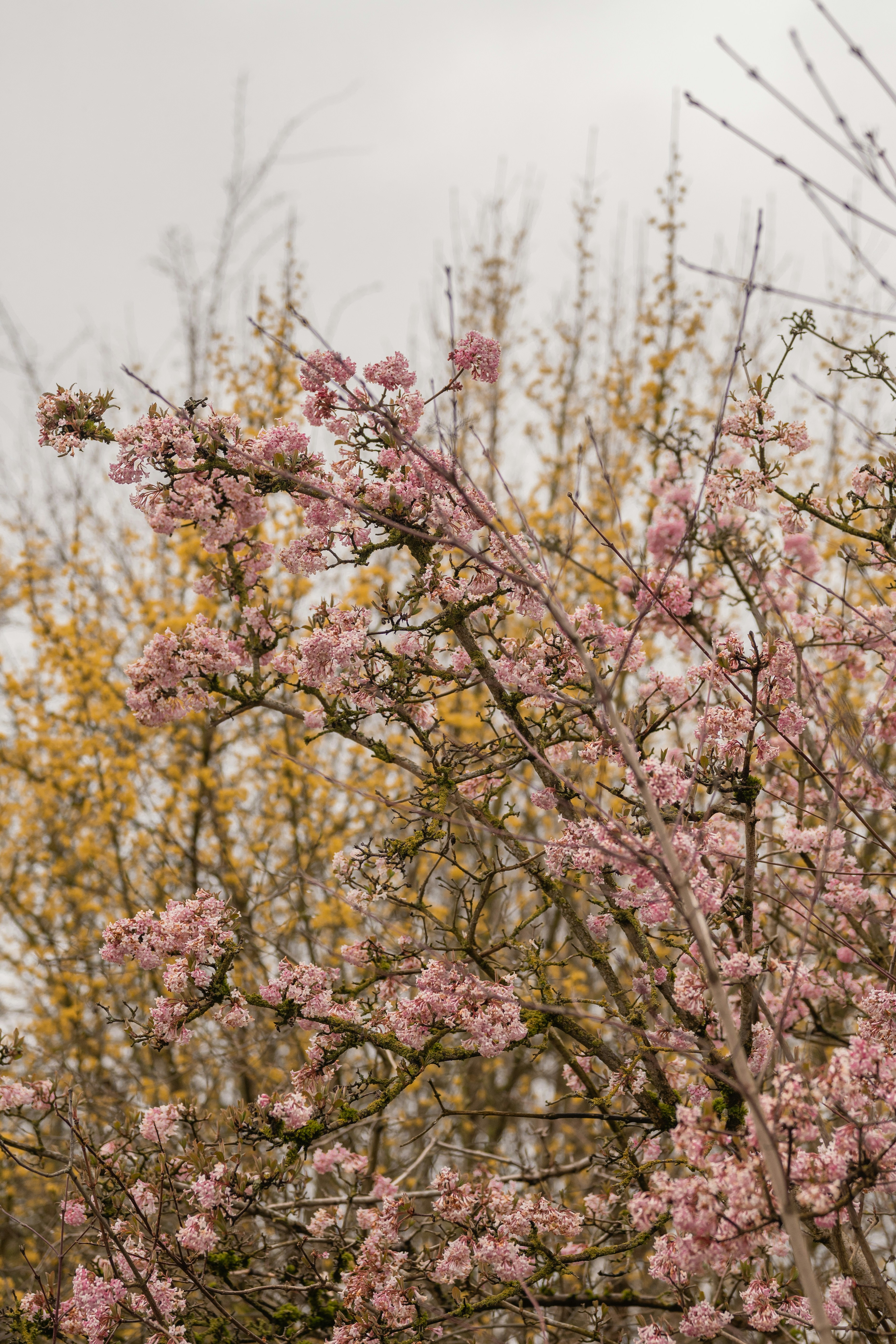 Photo by melanieweidmann_photography