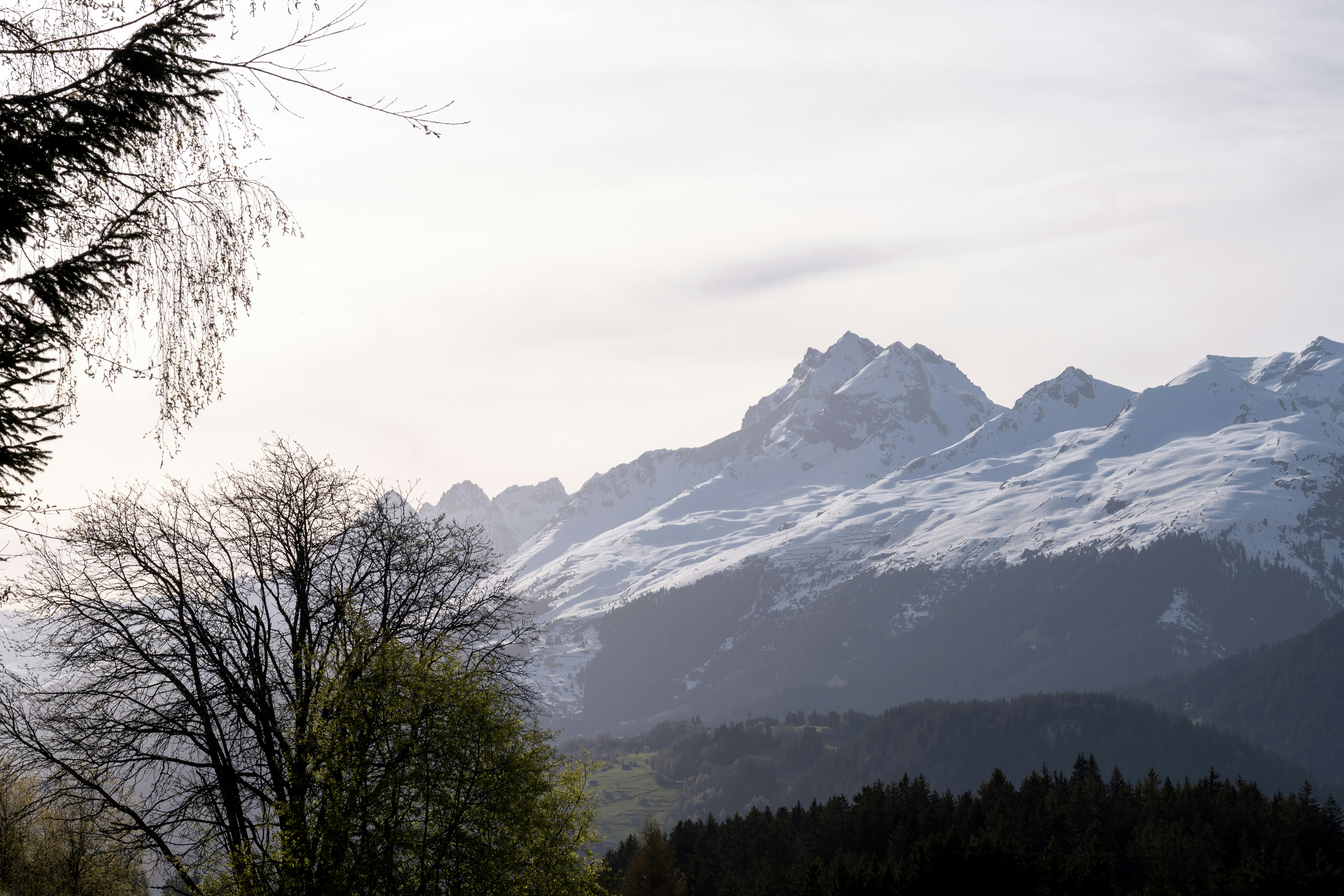 Photo by melanieweidmann_photography