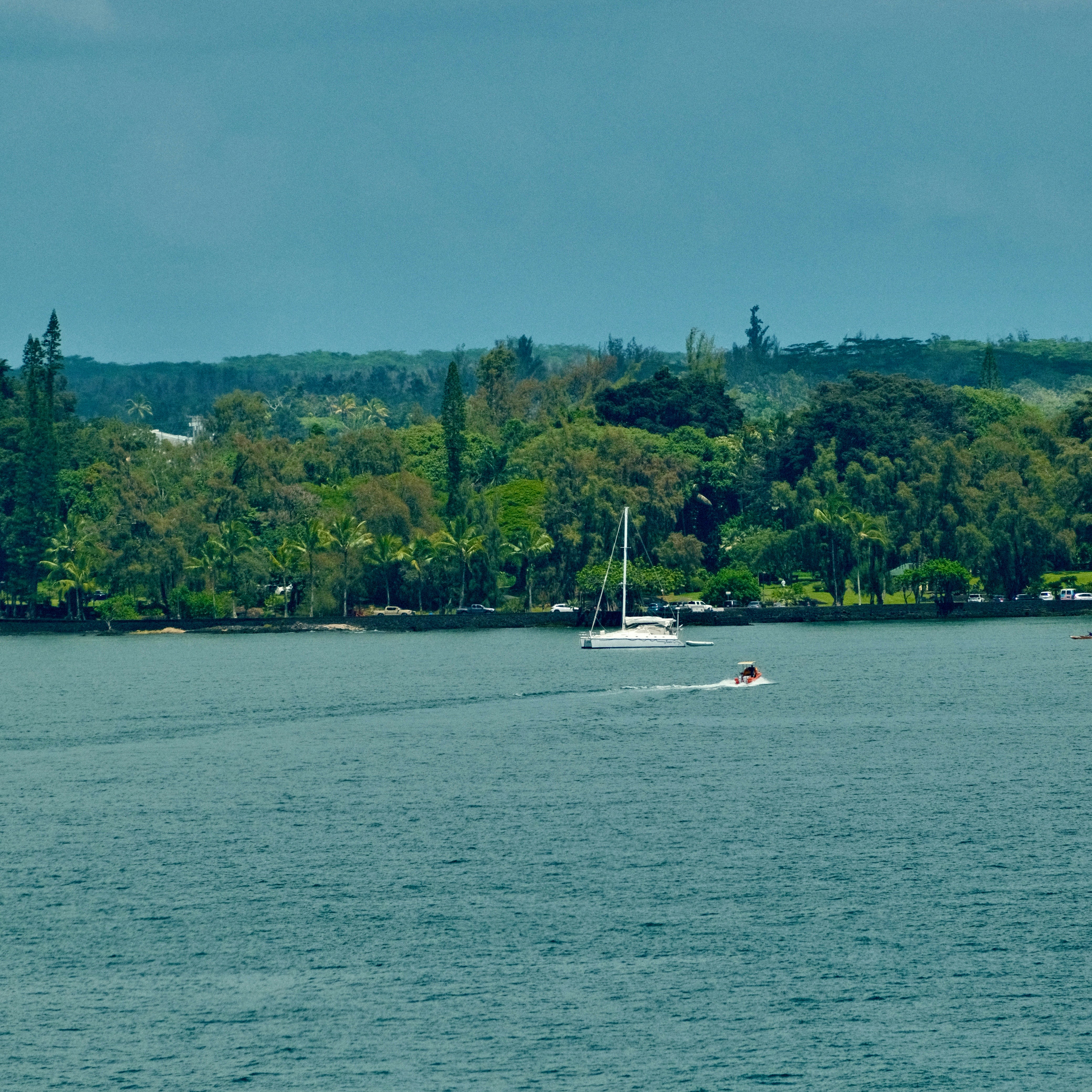 Photo by maxmeadowcroft