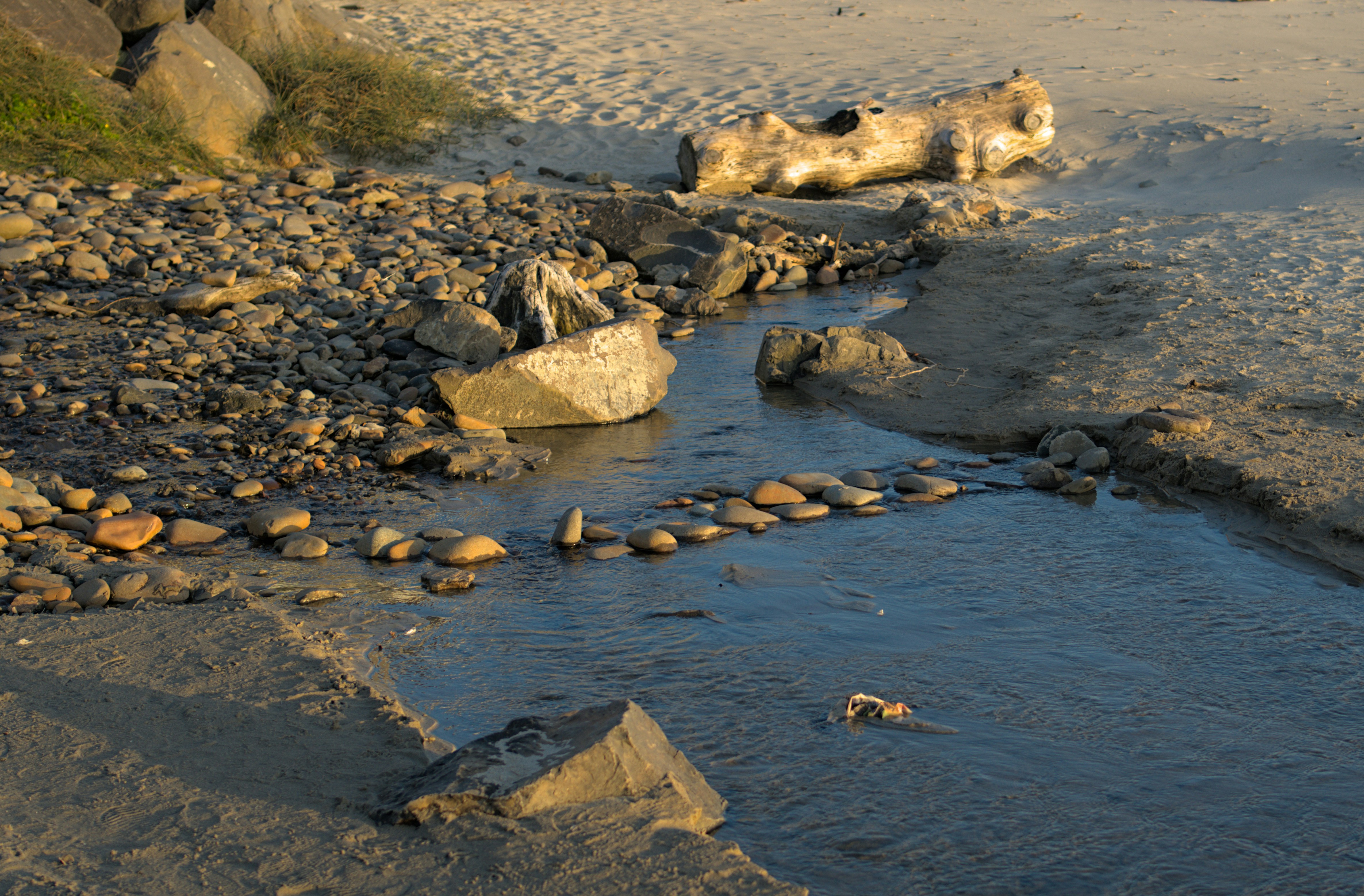 A stream of water running through a sandy beach, 
