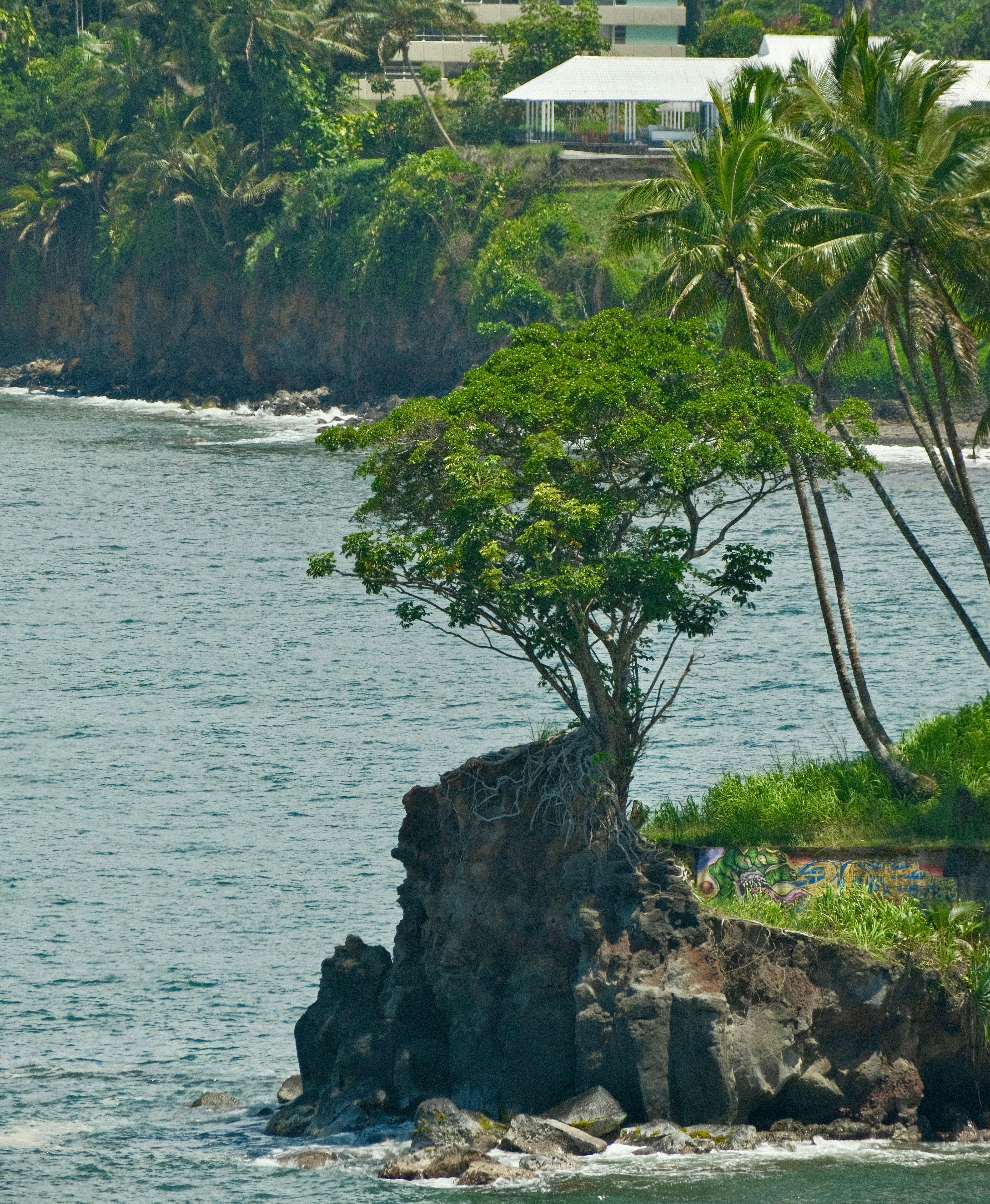 Photo by maxmeadowcroft