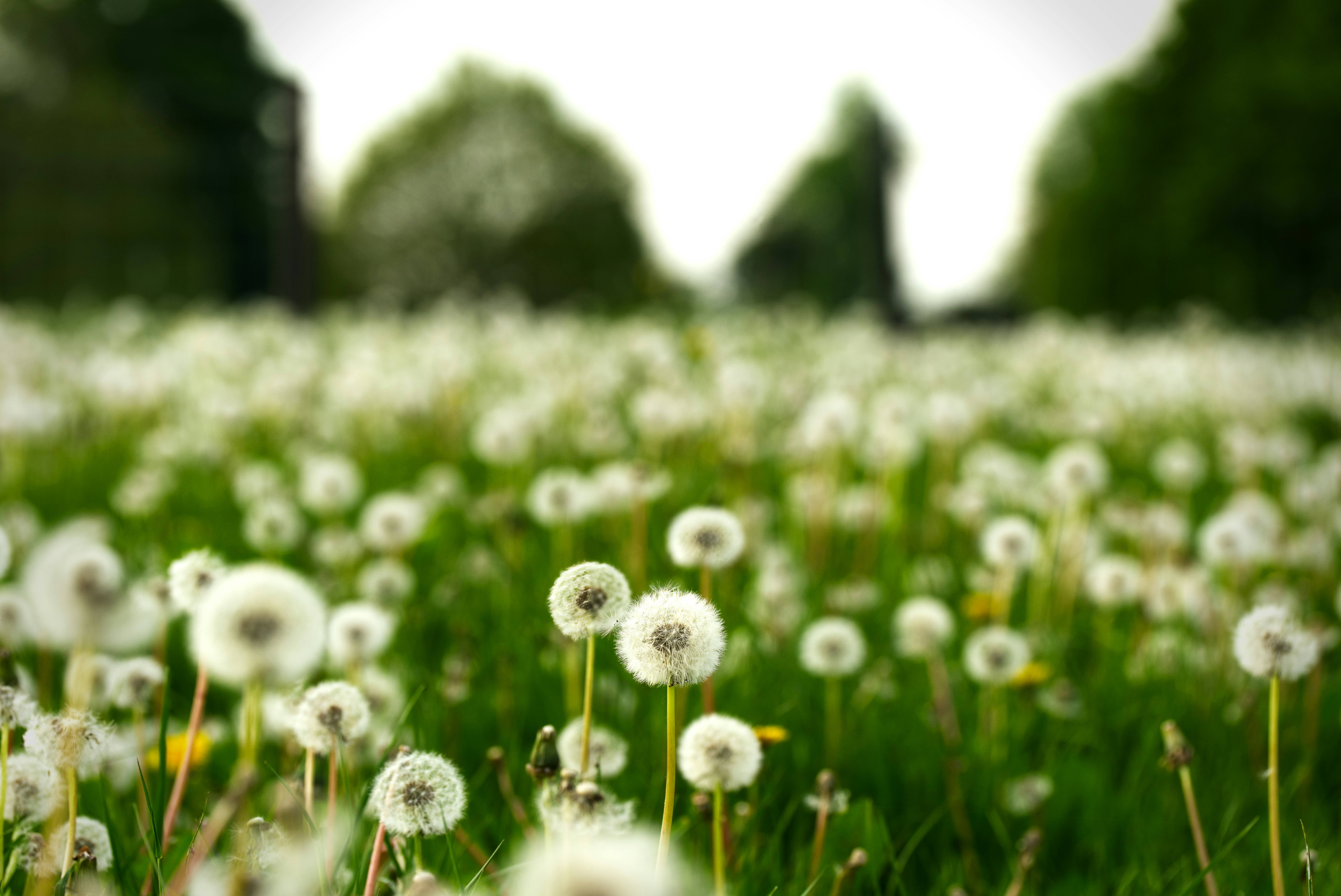 Photo by packetdiscards