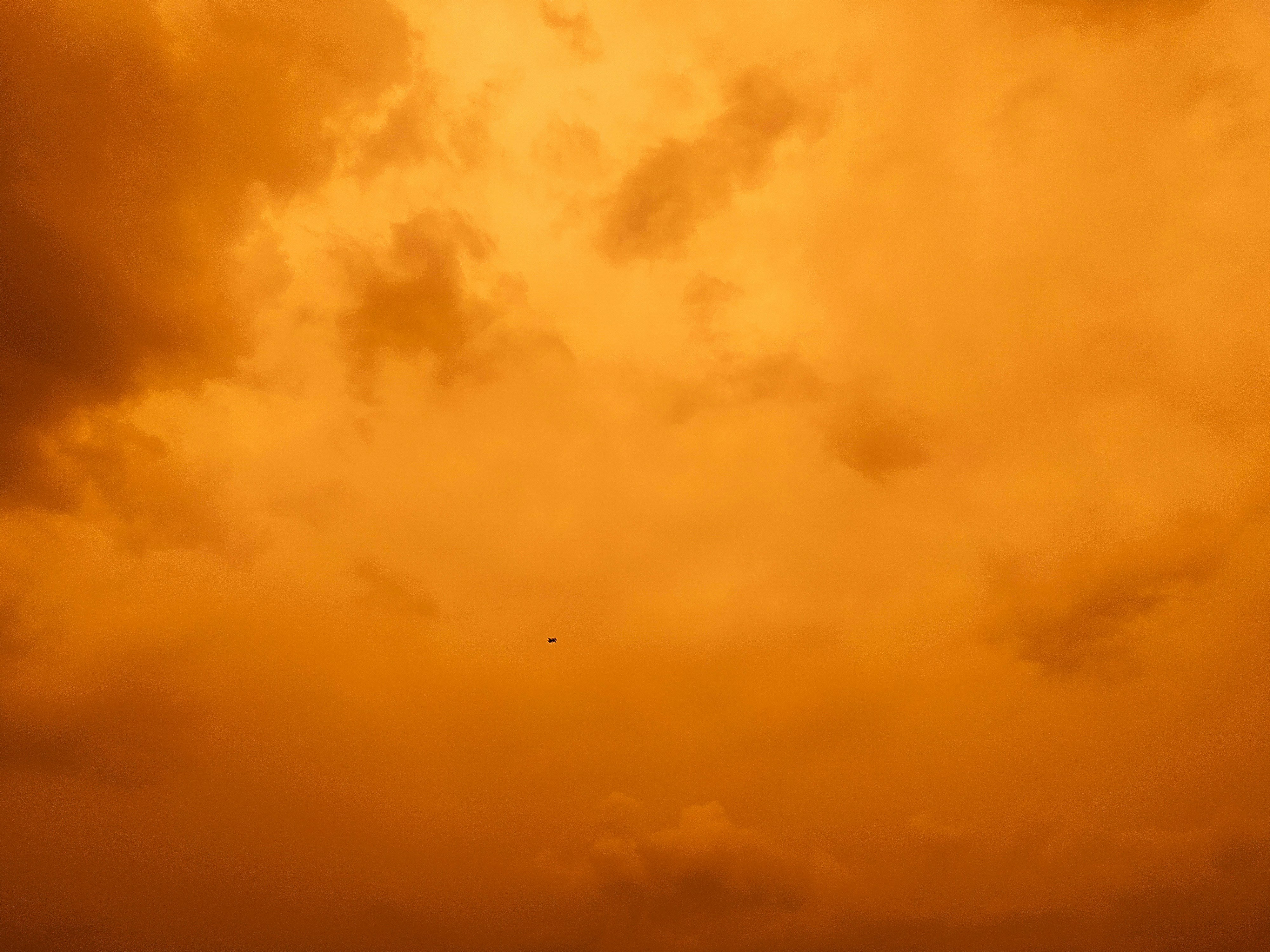 Photo by shaikhshahid21