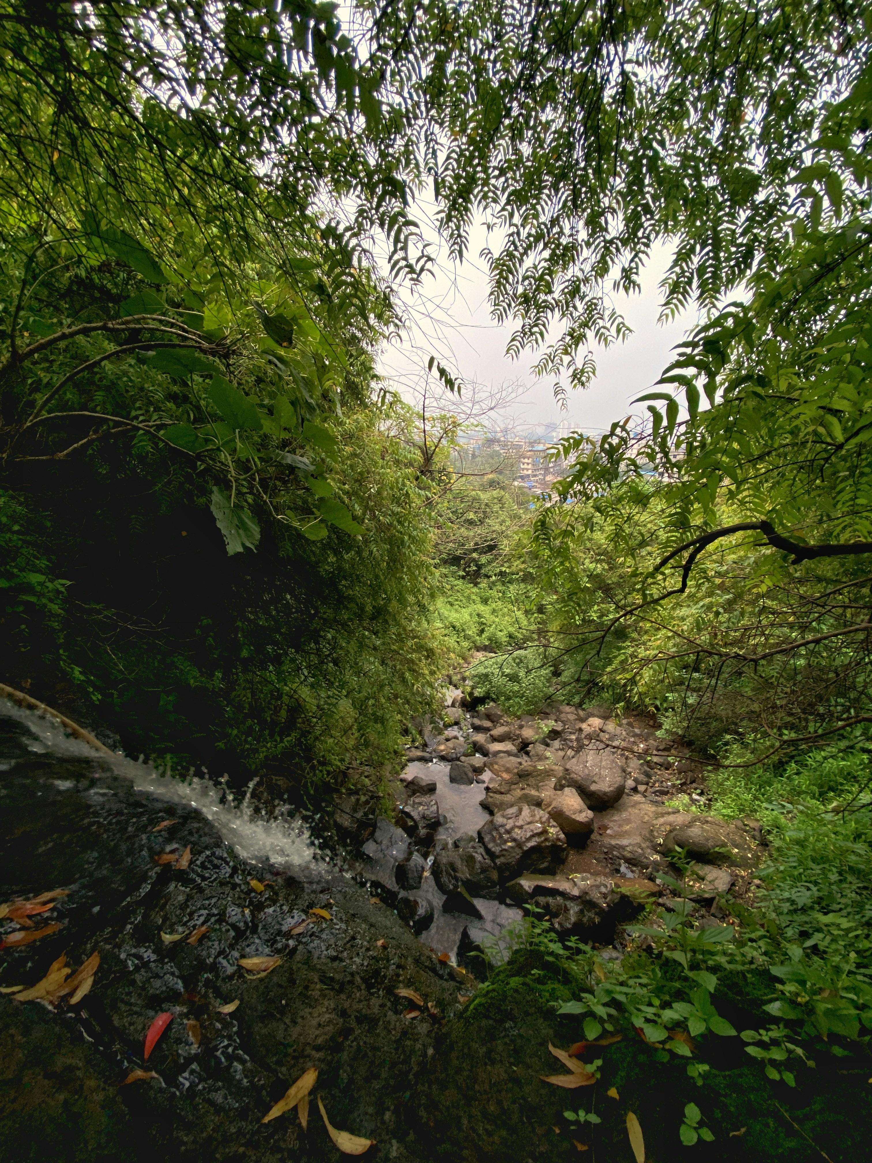 Photo by shaikhshahid21