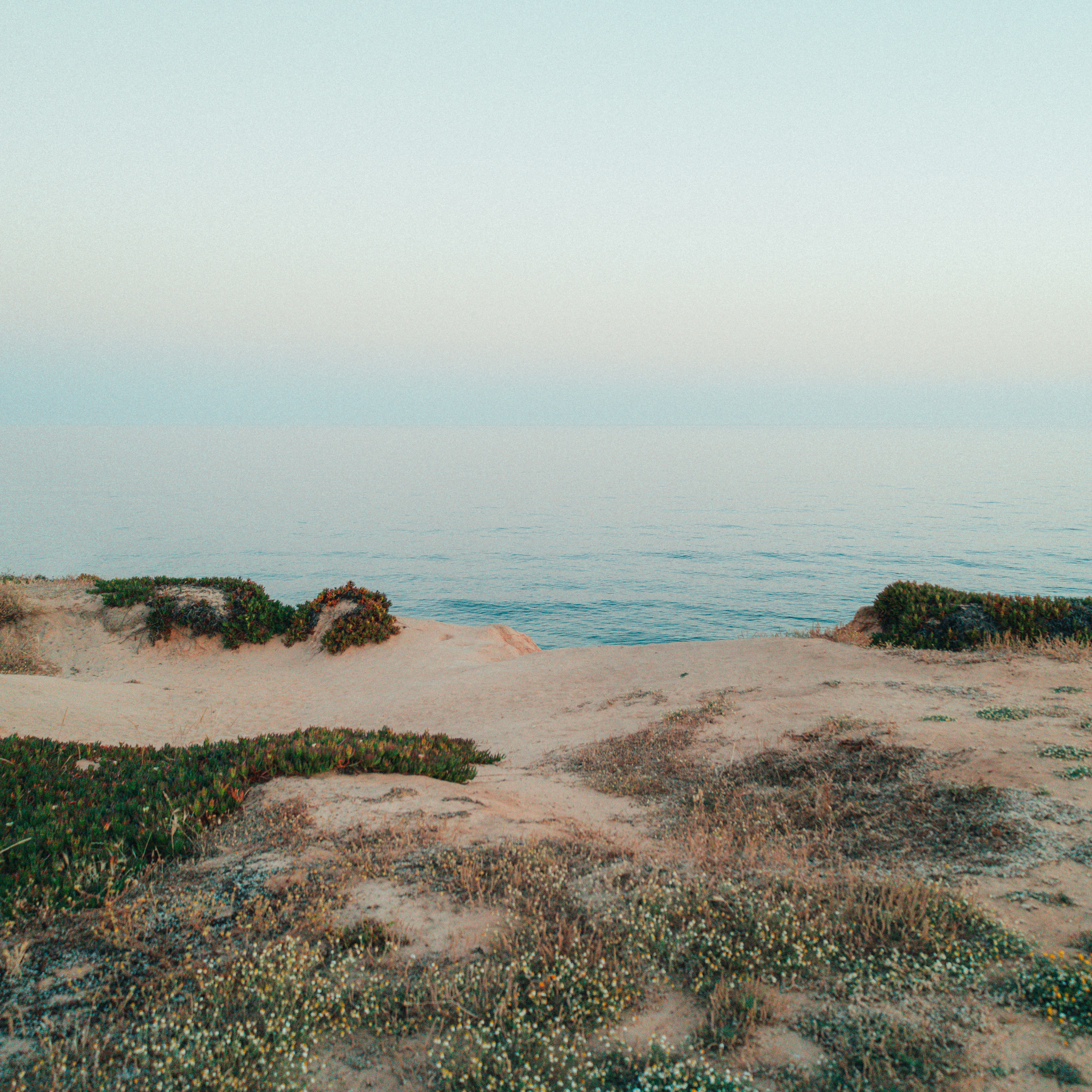 DPS 周刊 154 - 两次大笑