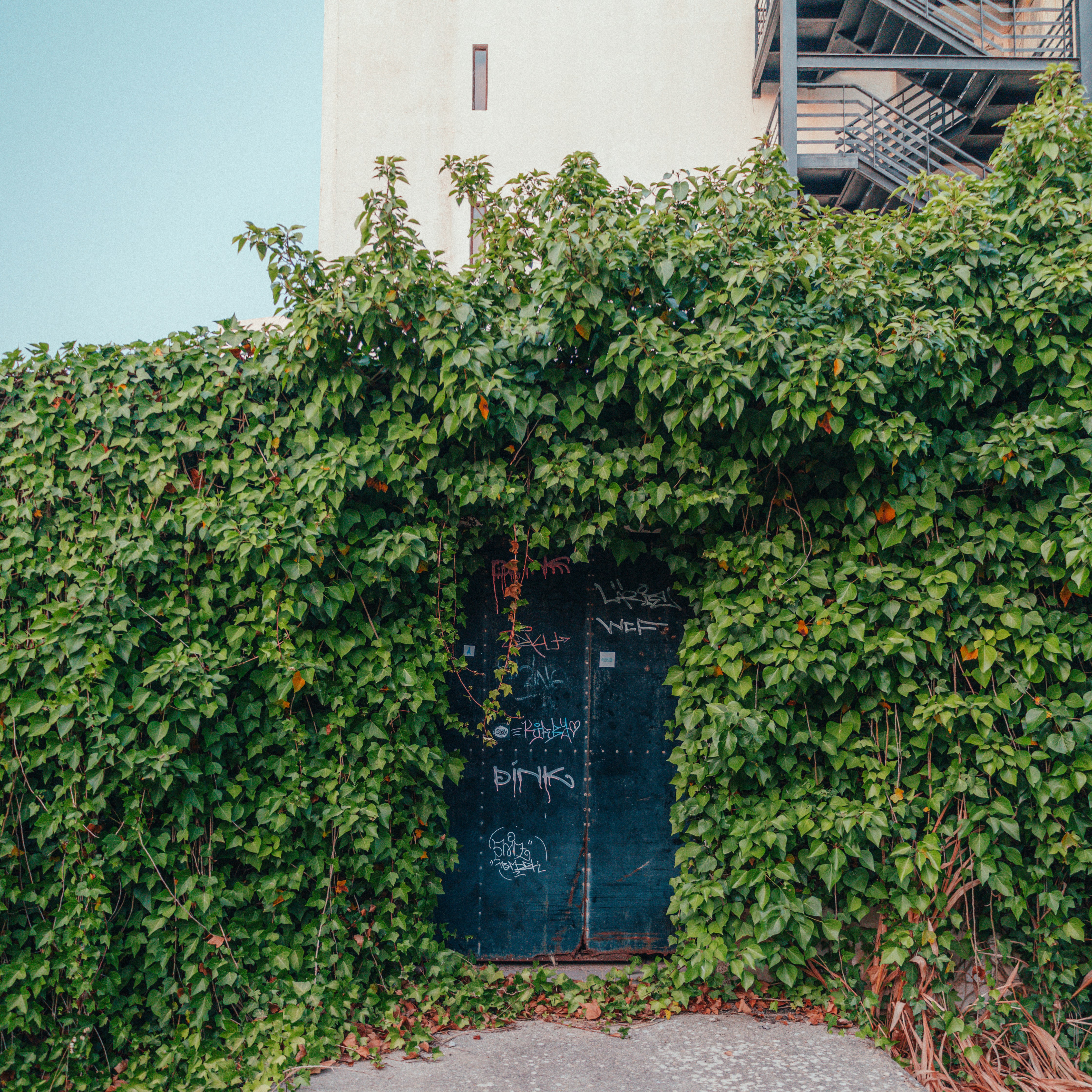 Photo by rodrigoesant