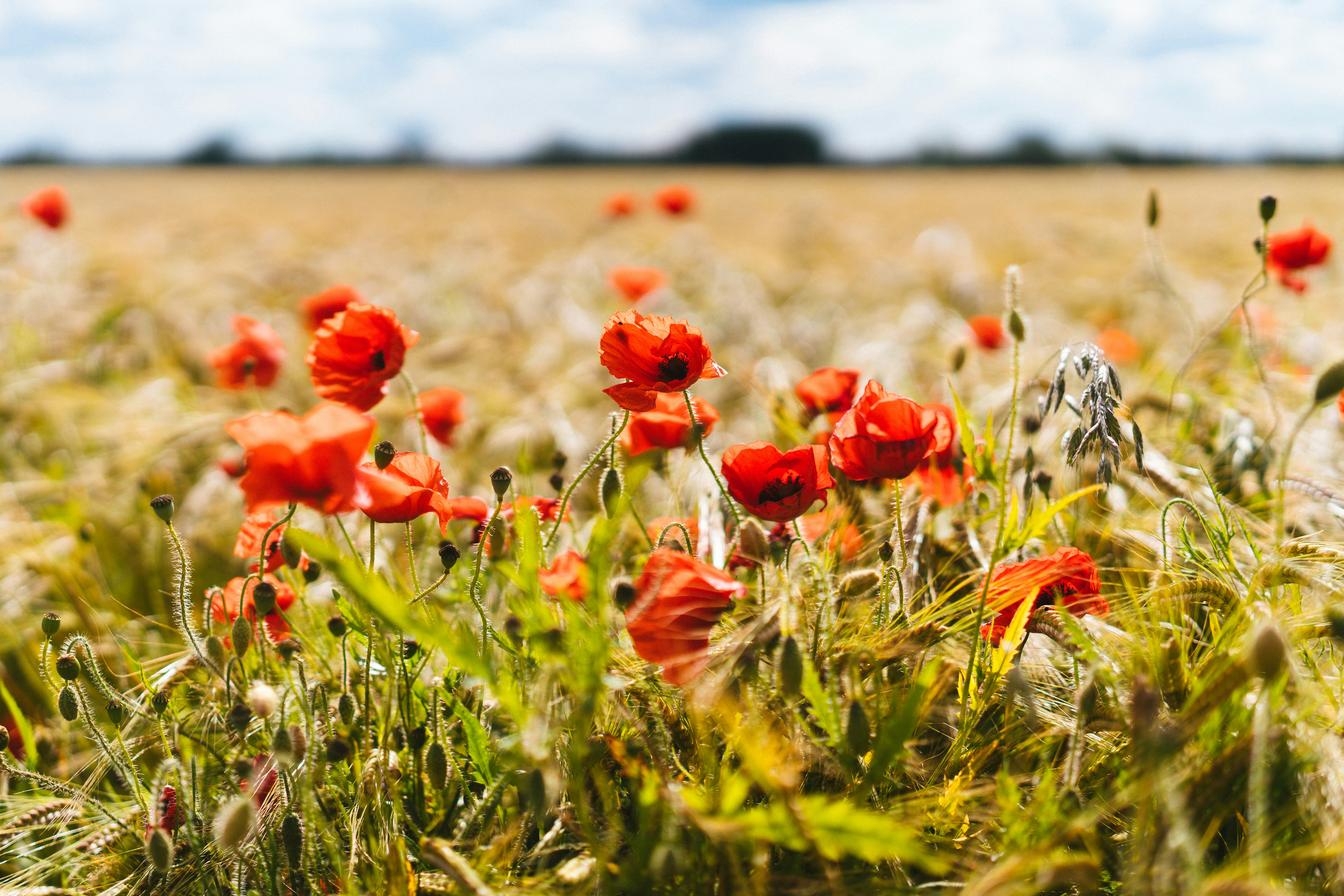 Photo by philhearing