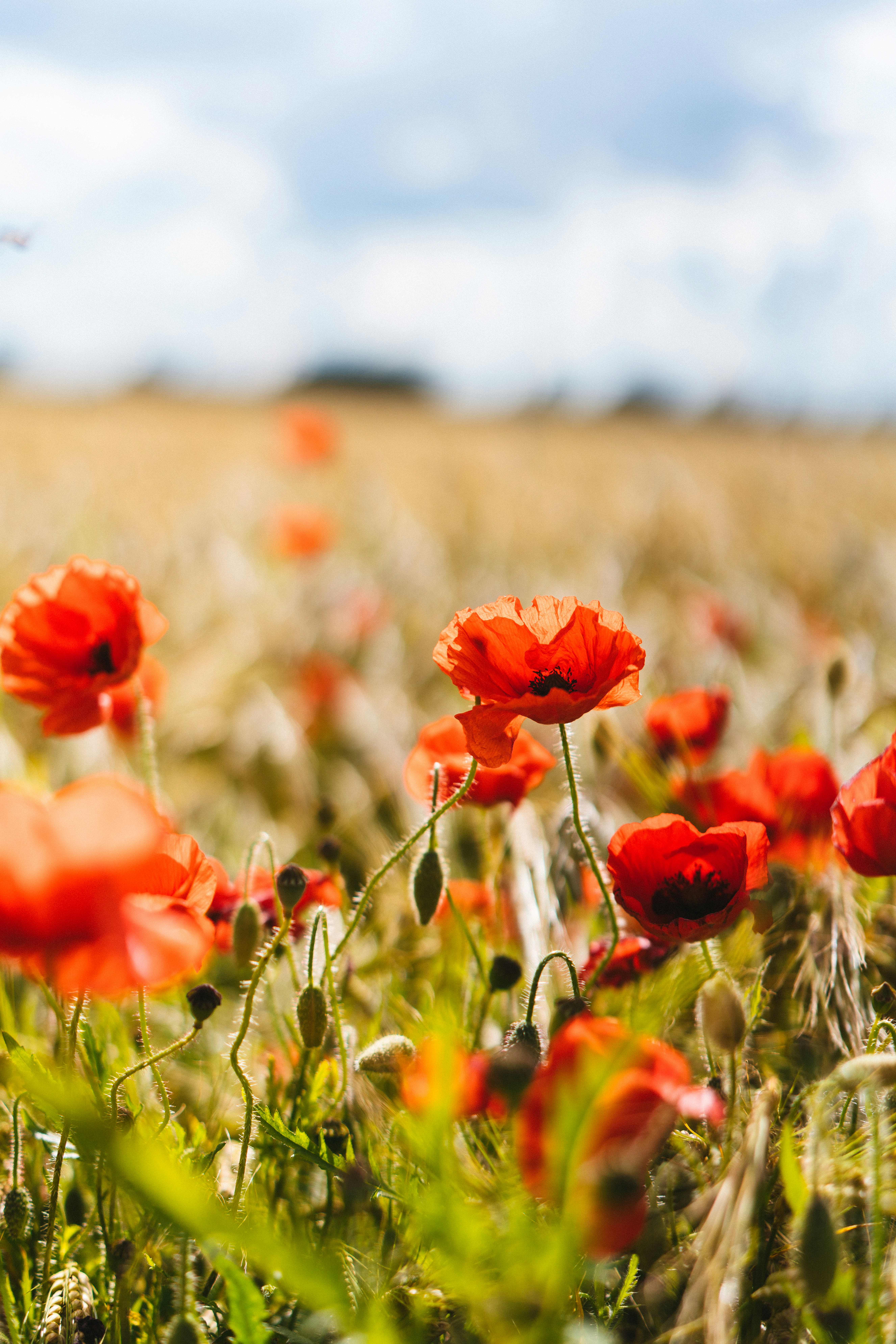 Photo by philhearing