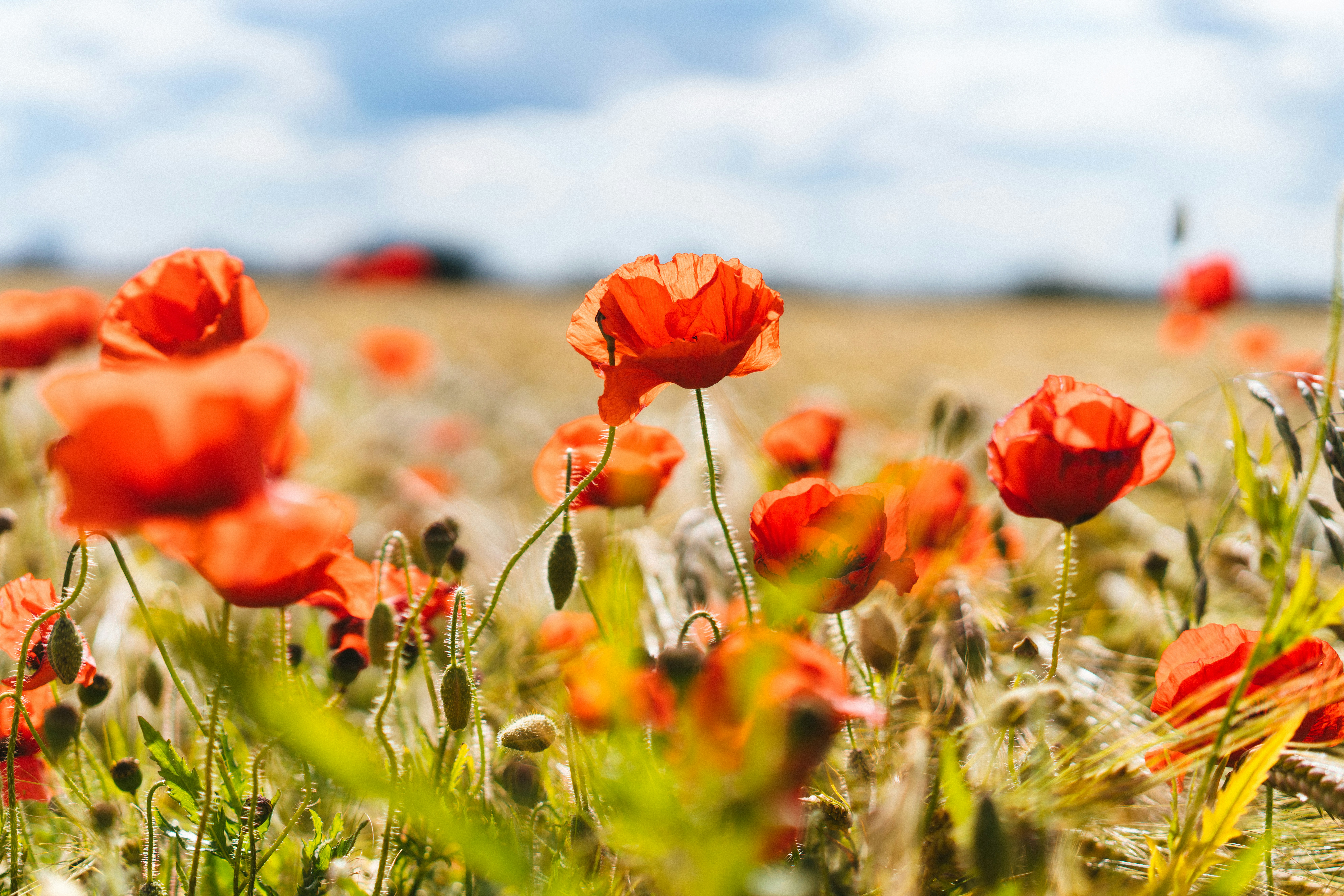 Photo by philhearing