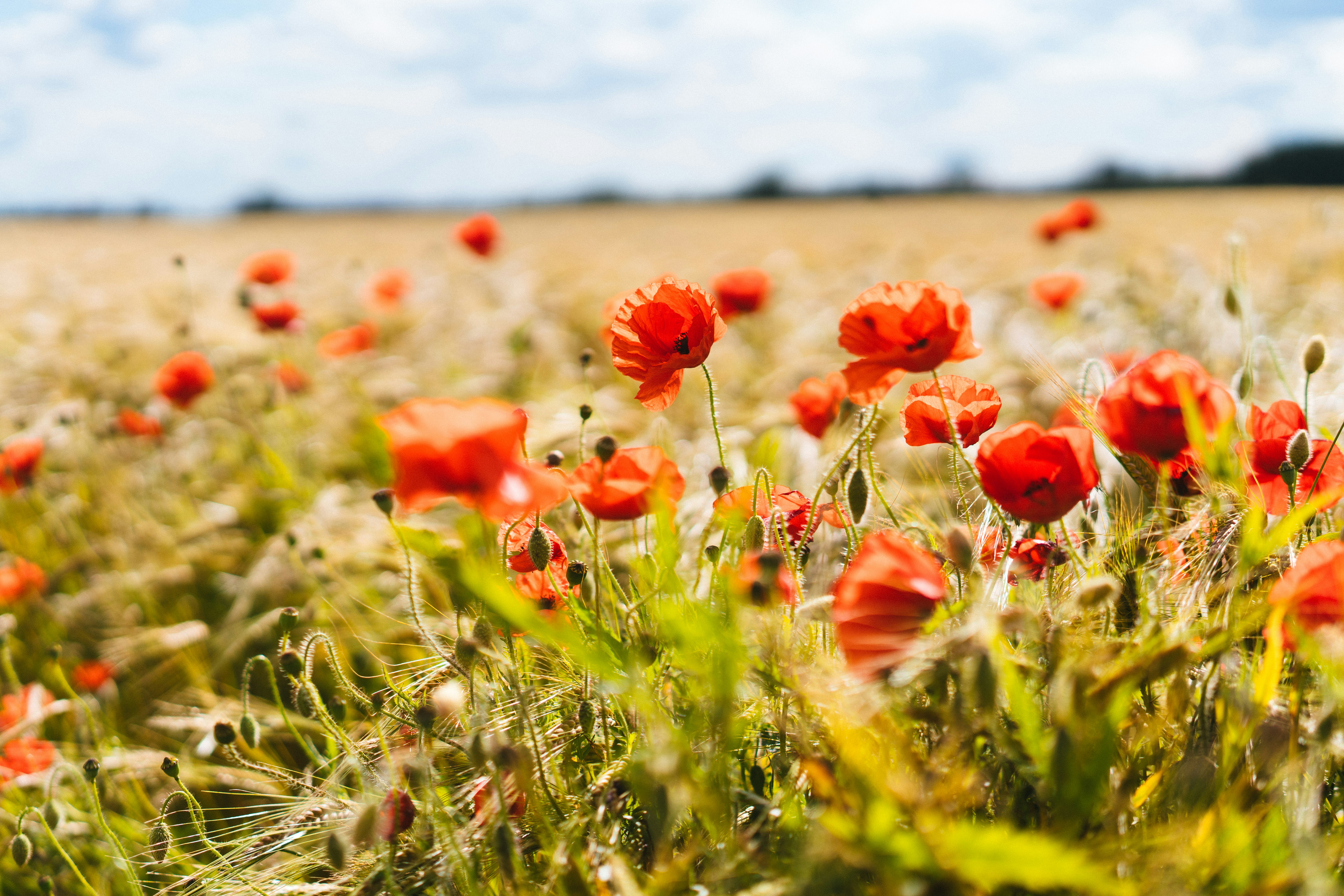 Photo by philhearing