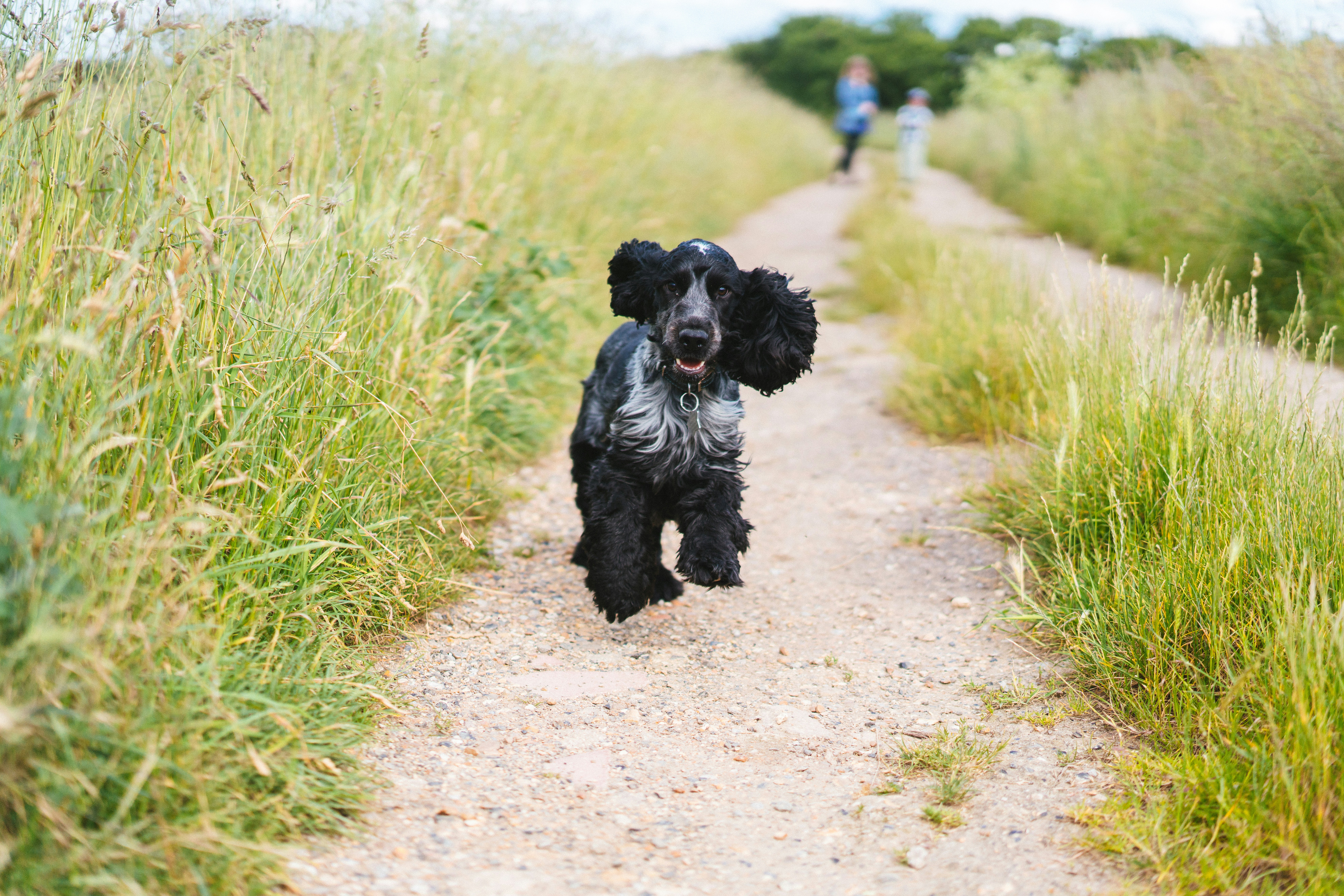 Photo by philhearing