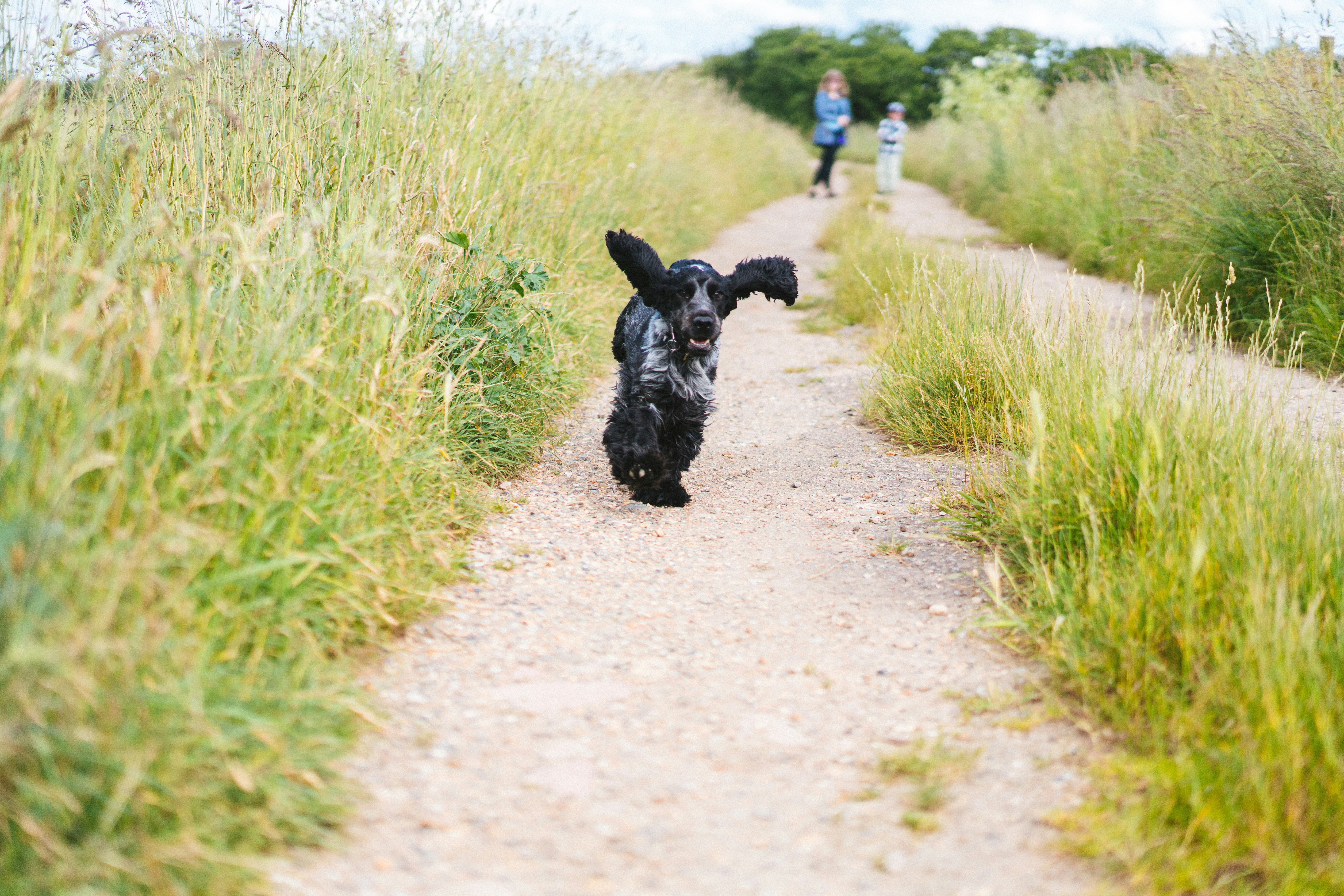 Photo by philhearing