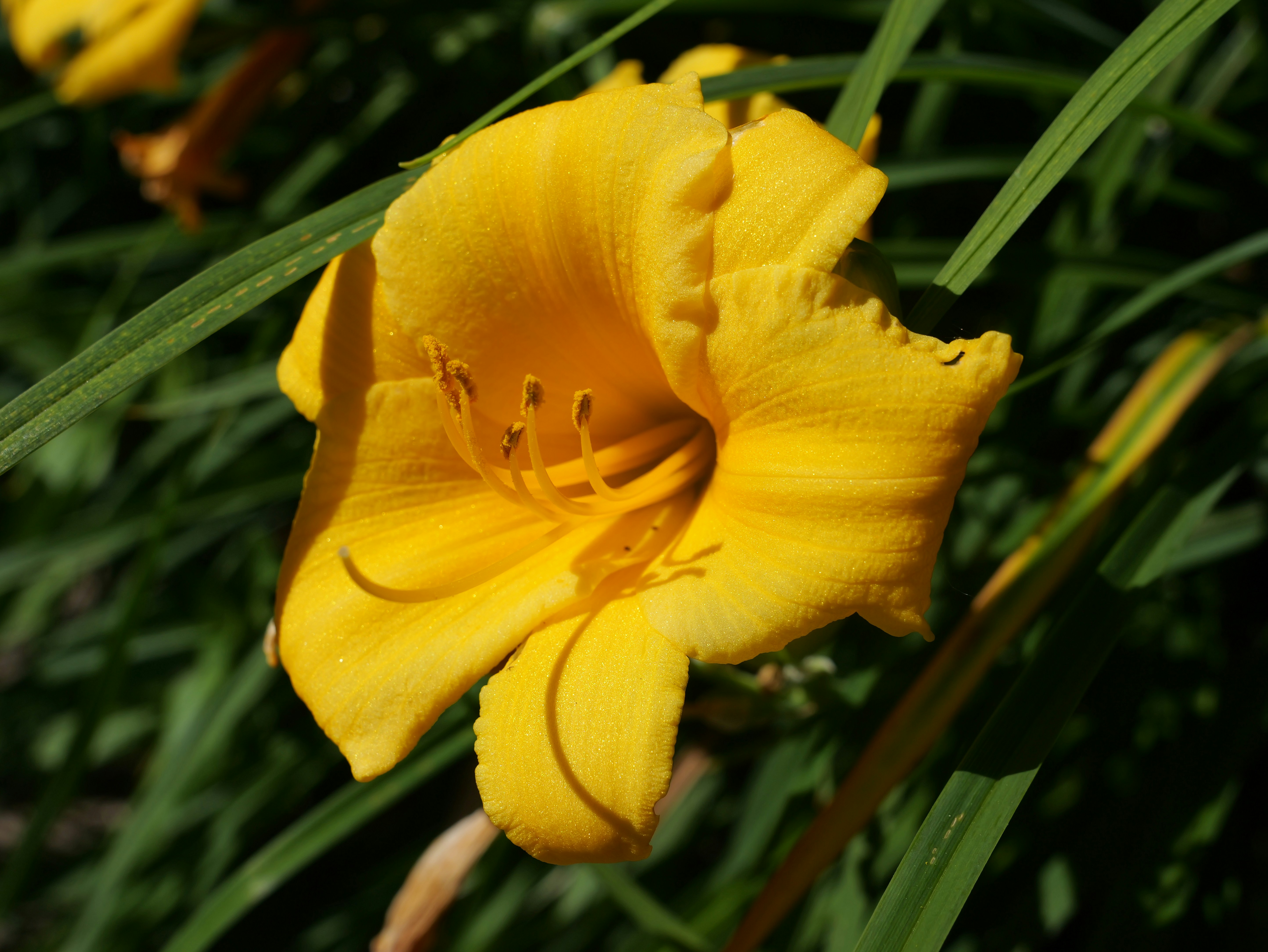 Photo by karonthompson